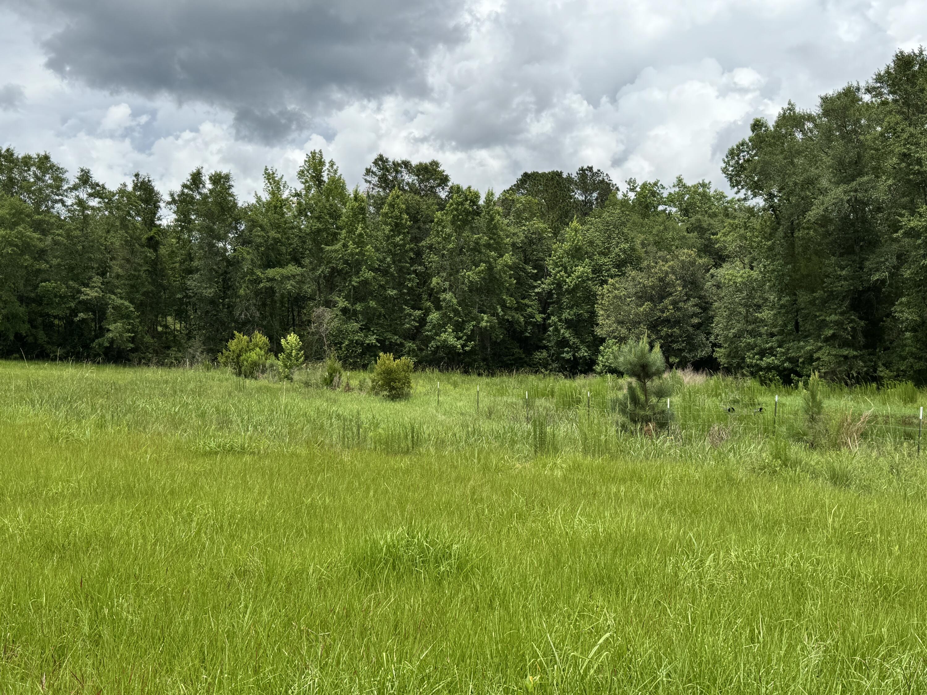 Countywide Residential - Land