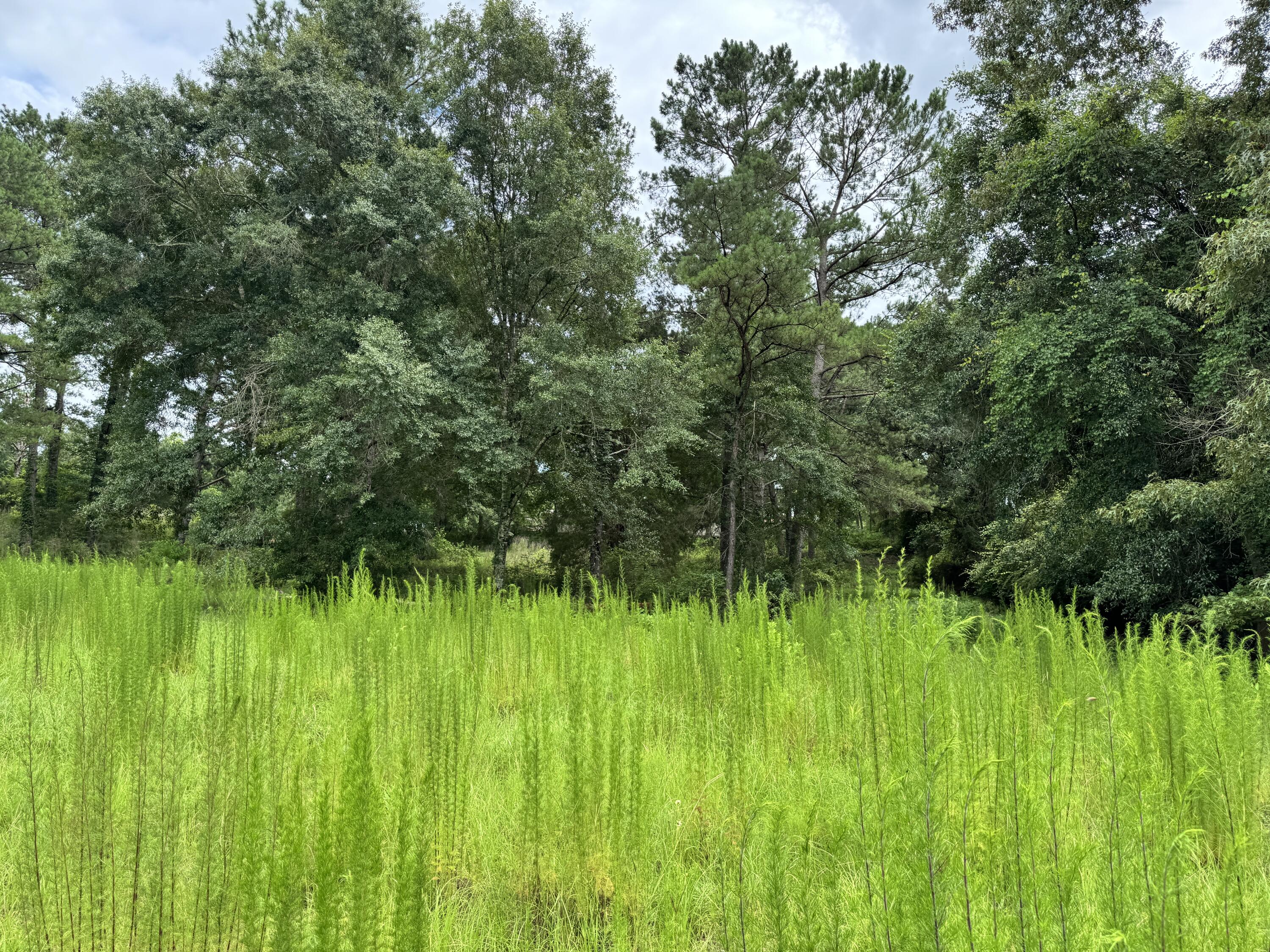 Countywide Residential - Land