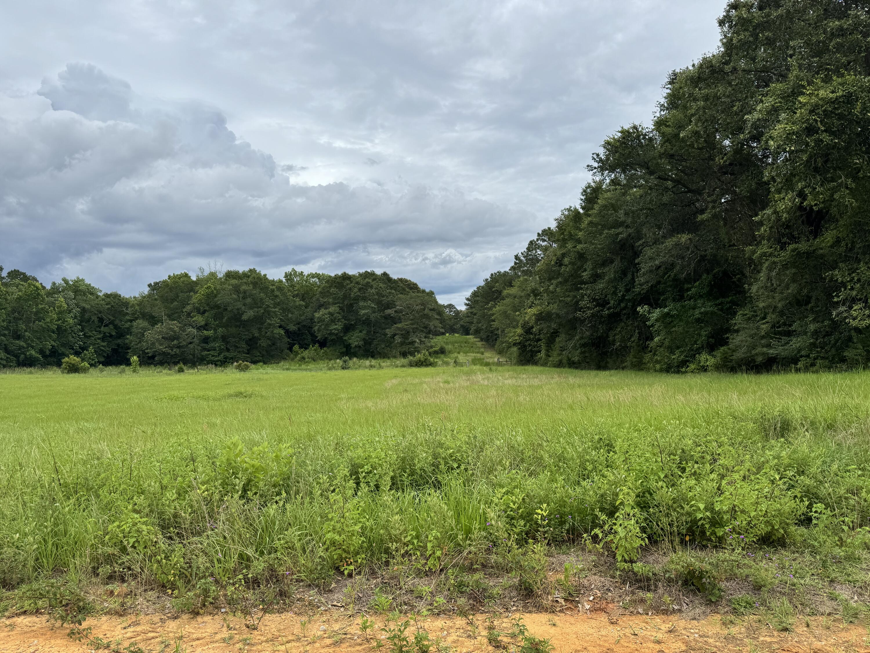 Countywide Residential - Land