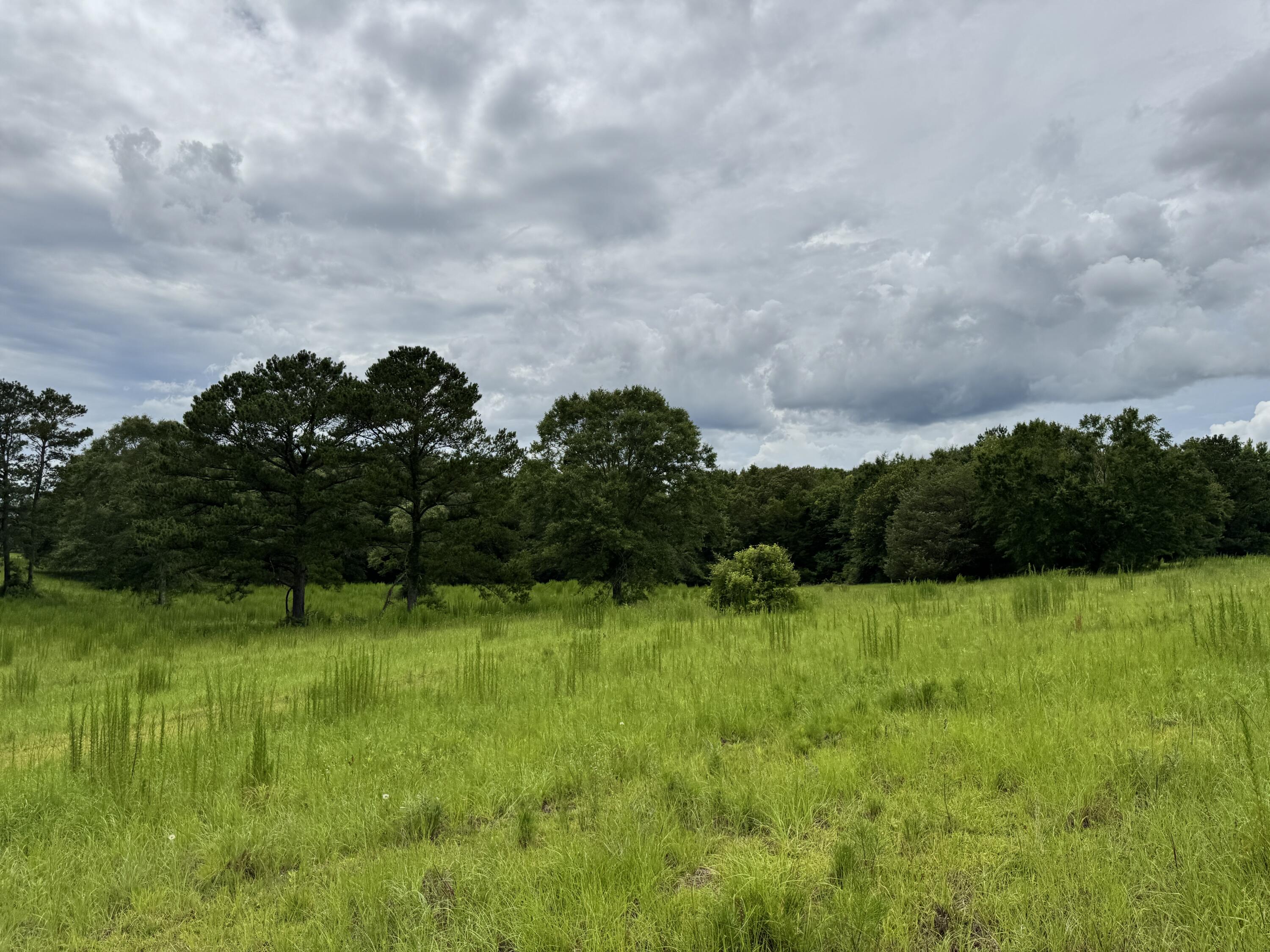 Countywide Residential - Land
