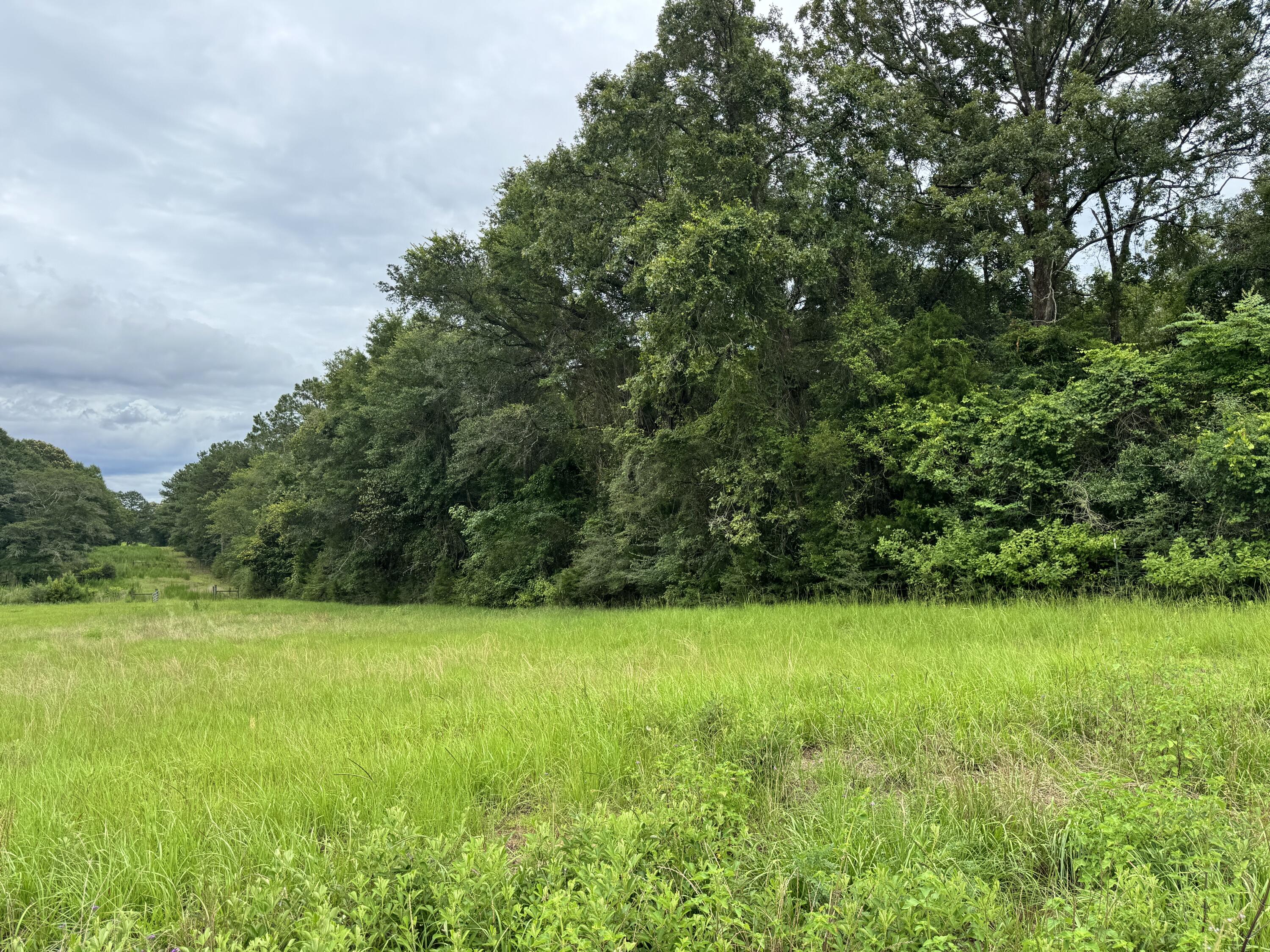 Countywide Residential - Land