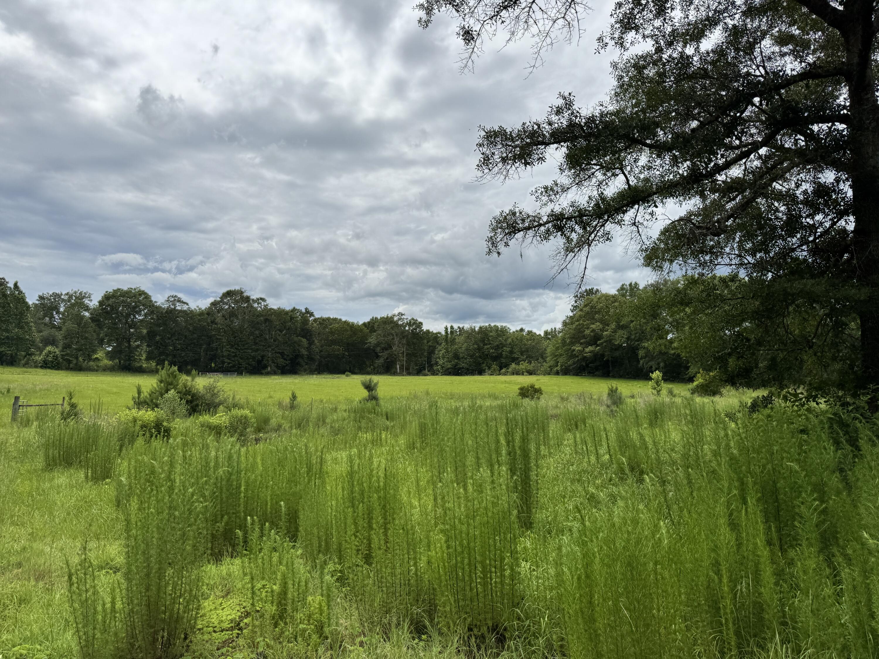 Countywide Residential - Land