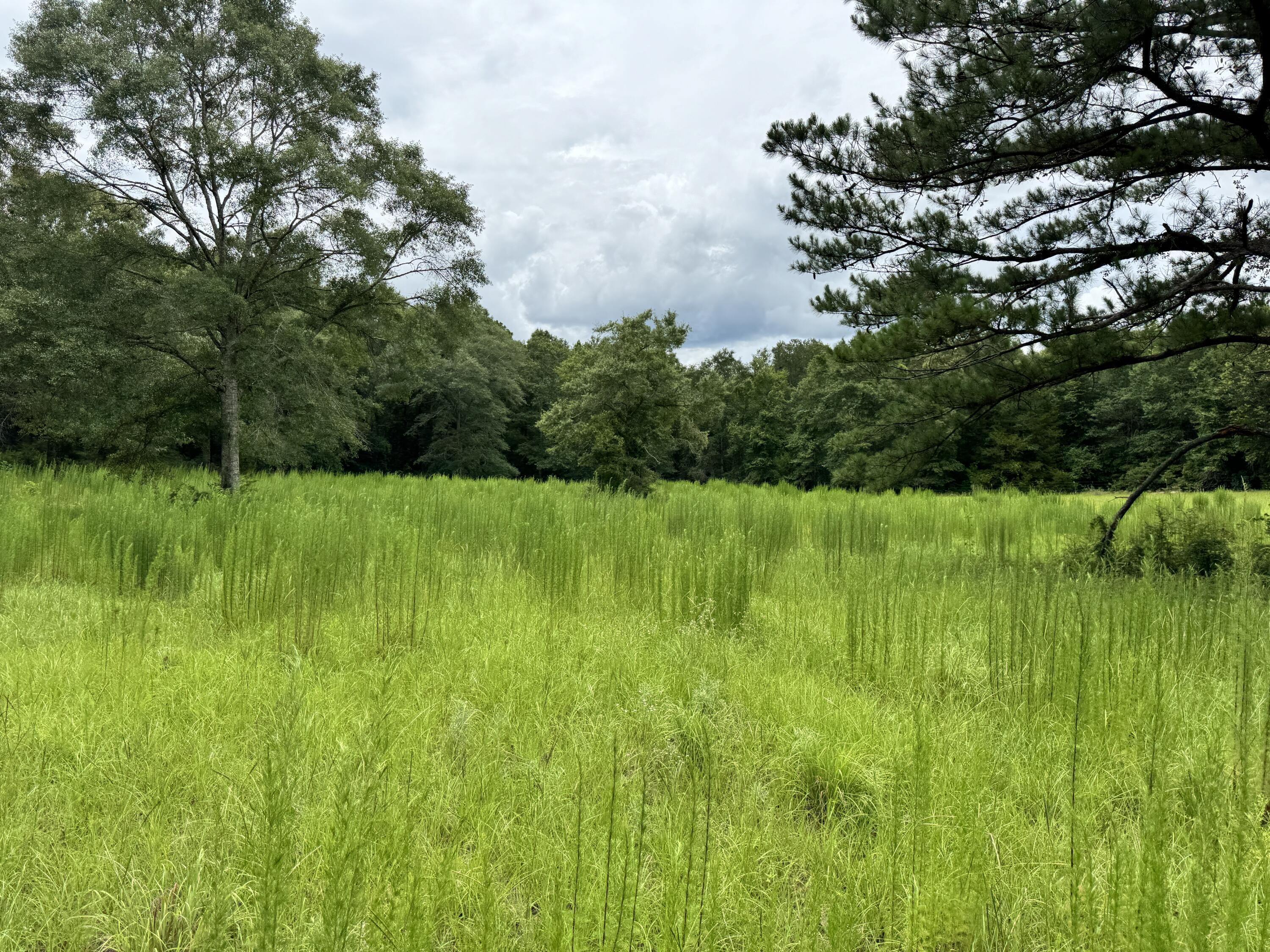 Countywide Residential - Land