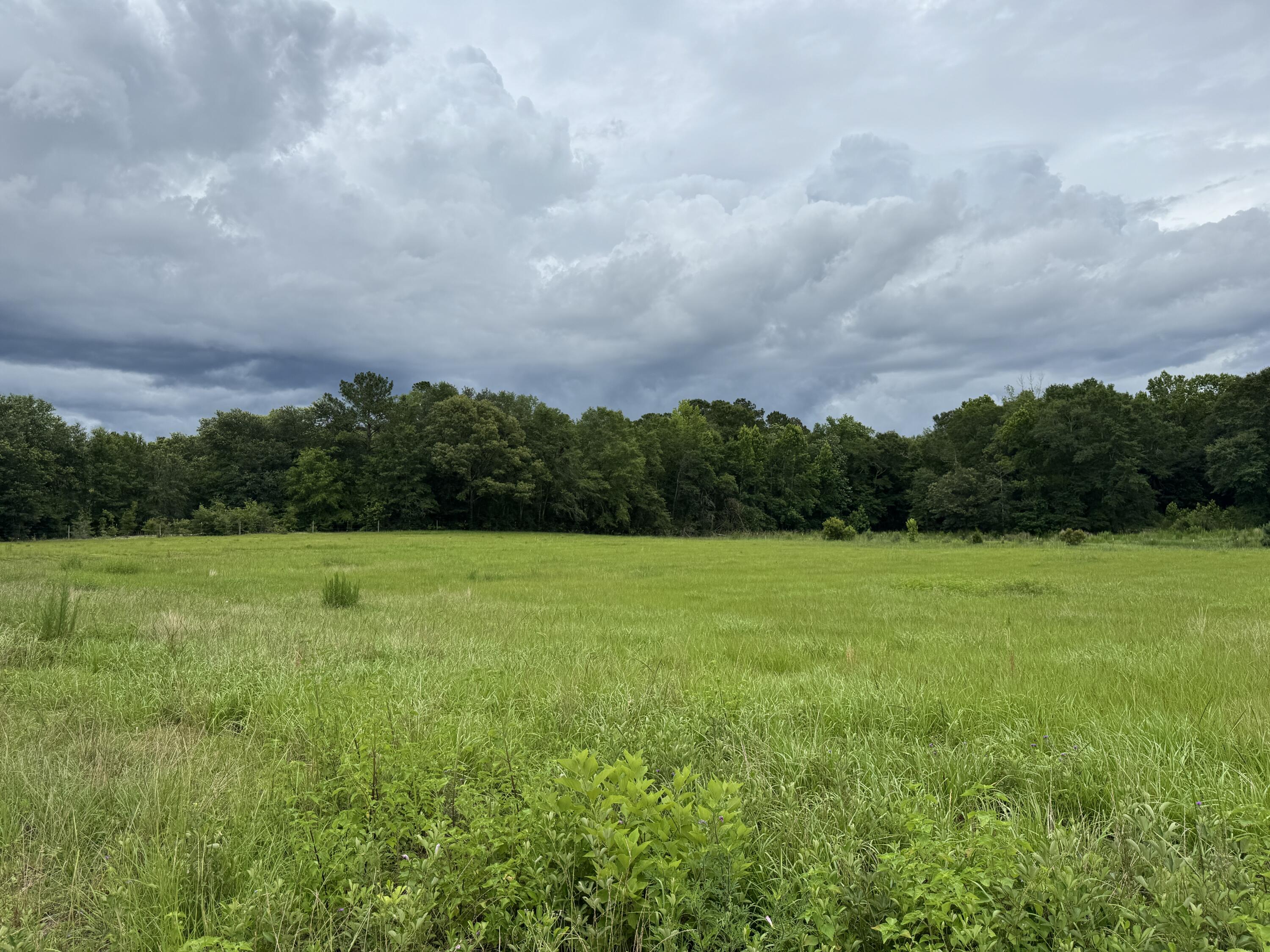 Countywide Residential - Land