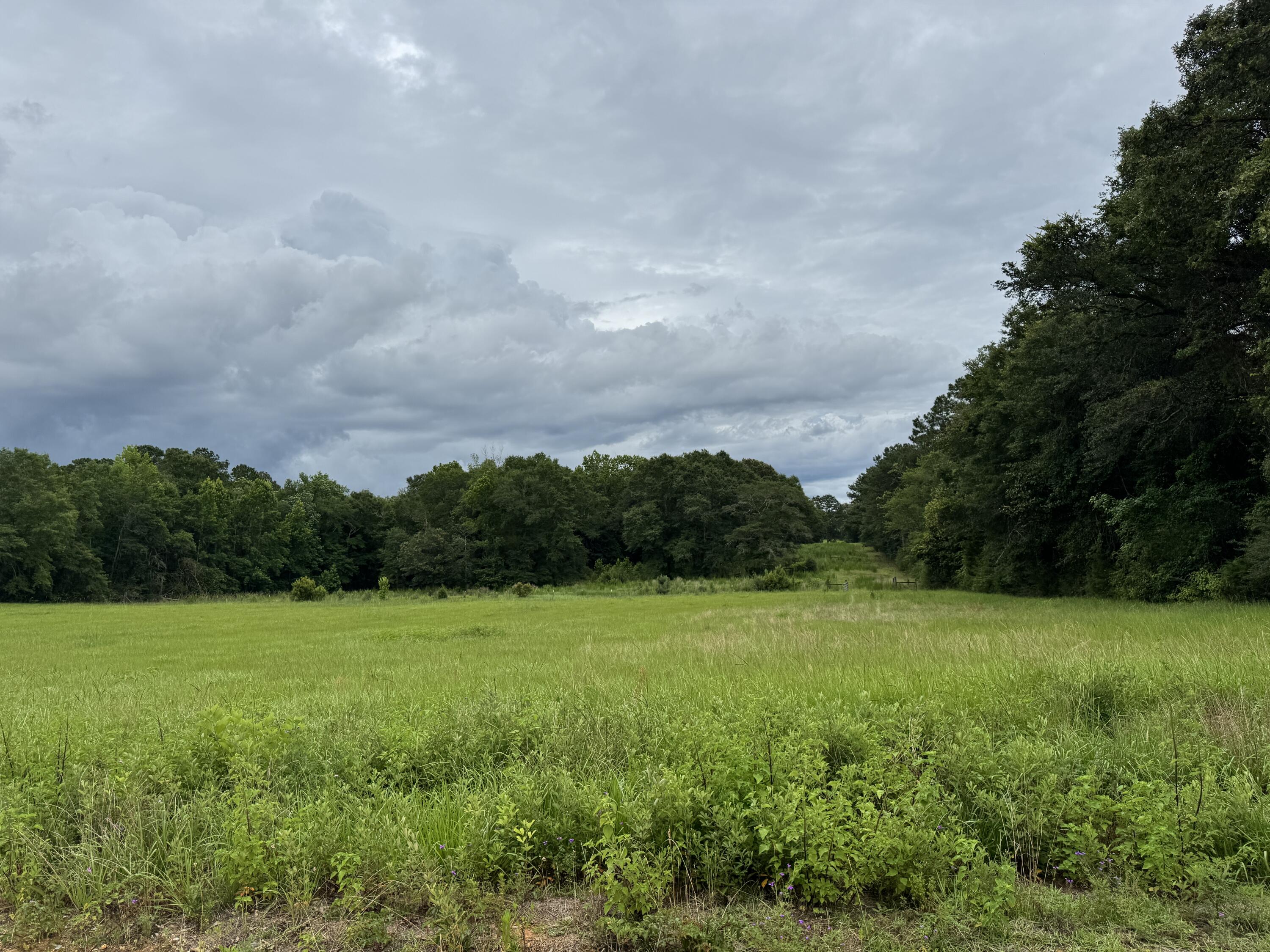Countywide Residential - Land