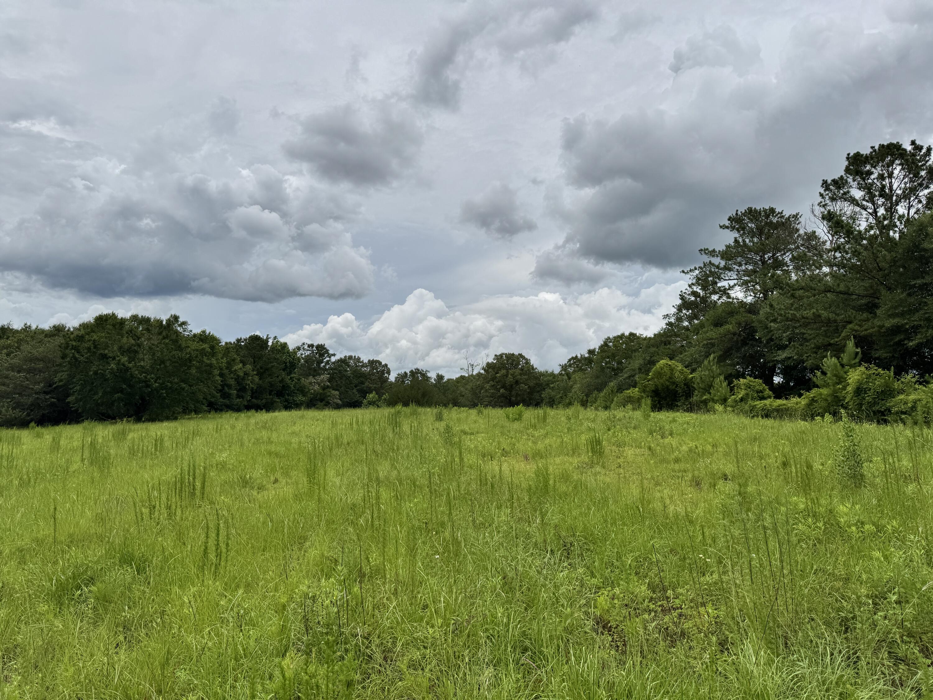 Discover the perfect blend of open pasture and natural wooded acreage on this beautiful 15-acre property. Whether you're looking to build your dream home, establish a small farm, or create a private retreat, this property offers endless possibilities. The land is fenced and features numerous gates for convenient access throughout the property, along with a watering hole that adds both functionality and character. With a mix of cleared and wooded areas, you'll enjoy the flexibility of open space while maintaining privacy and natural beauty. Conveniently located between M & K Lane and Hicks Road, this property provides a peaceful rural setting with plenty of room for livestock, recreation, or future development.