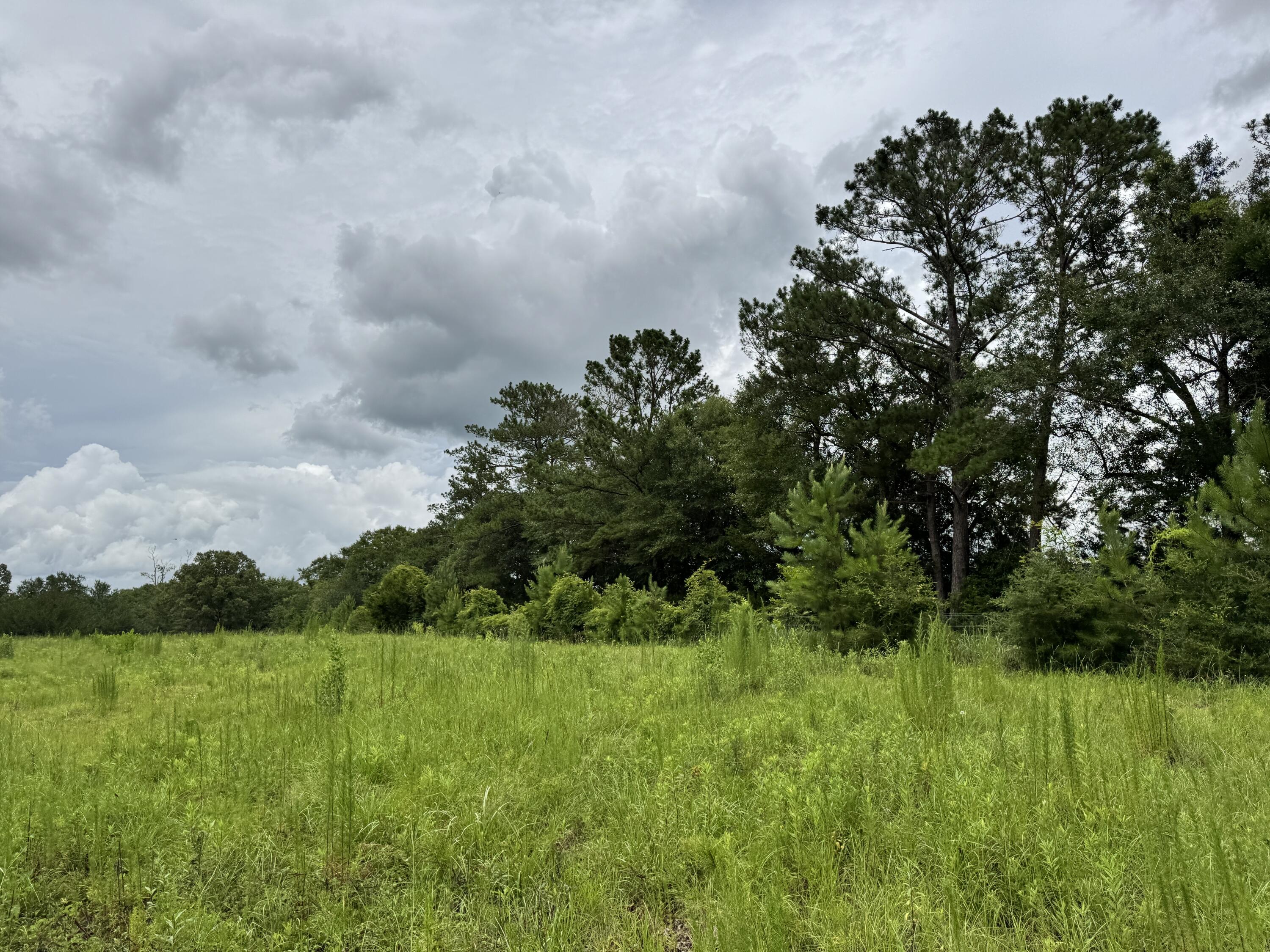 Countywide Residential - Land