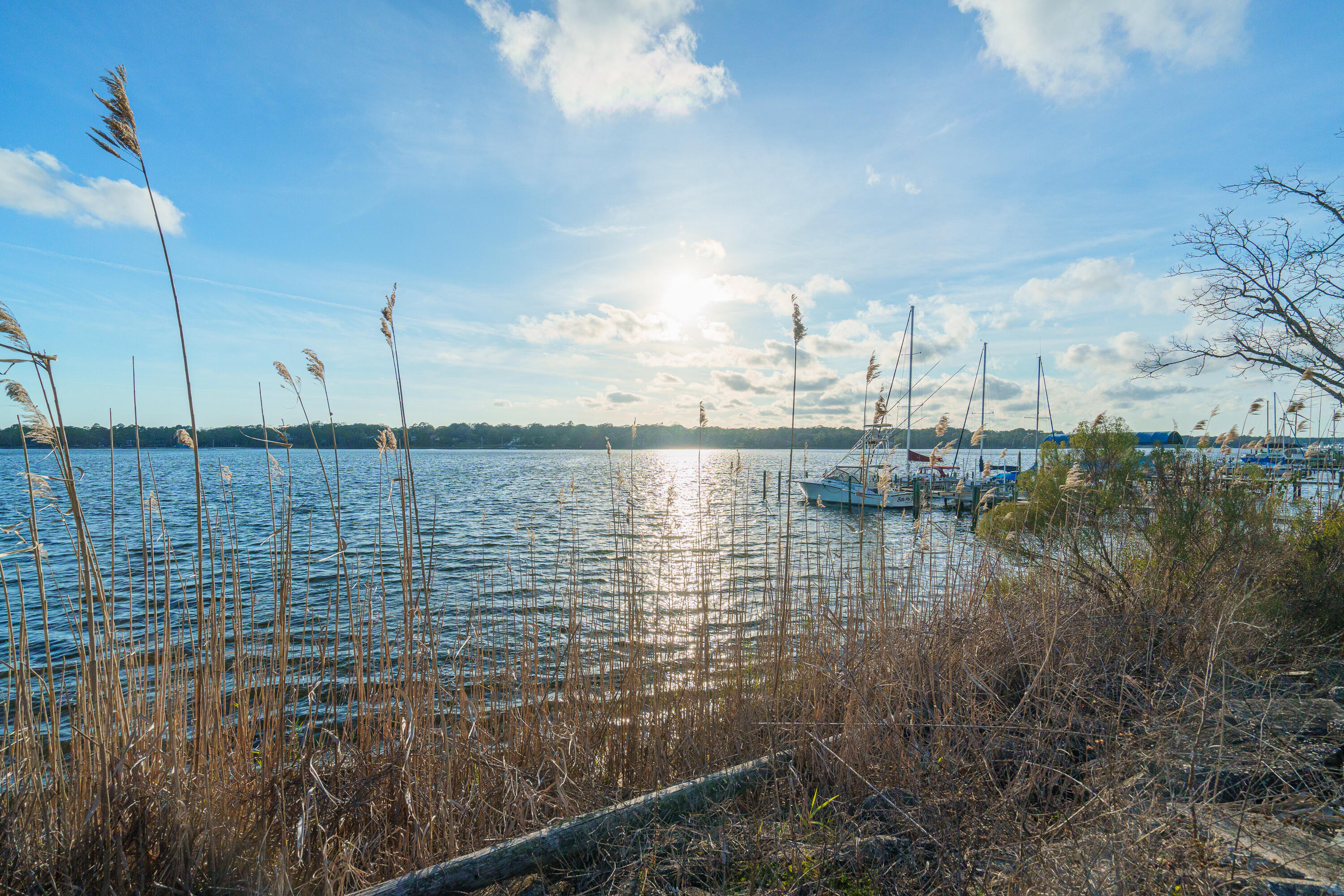 HELMS & ALLEN - Residential Lease