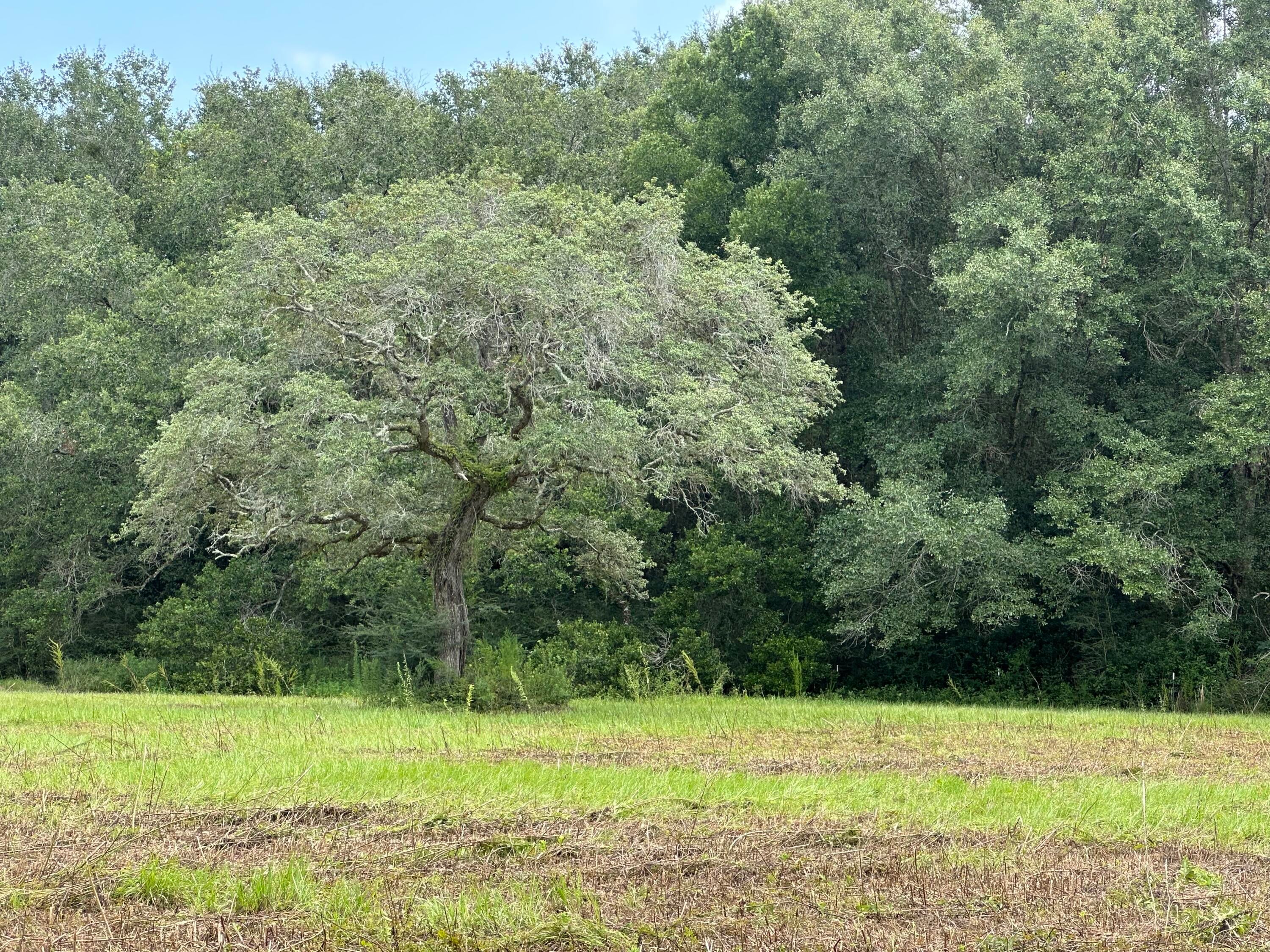 NO RECORDED SUBDIVISION - Land