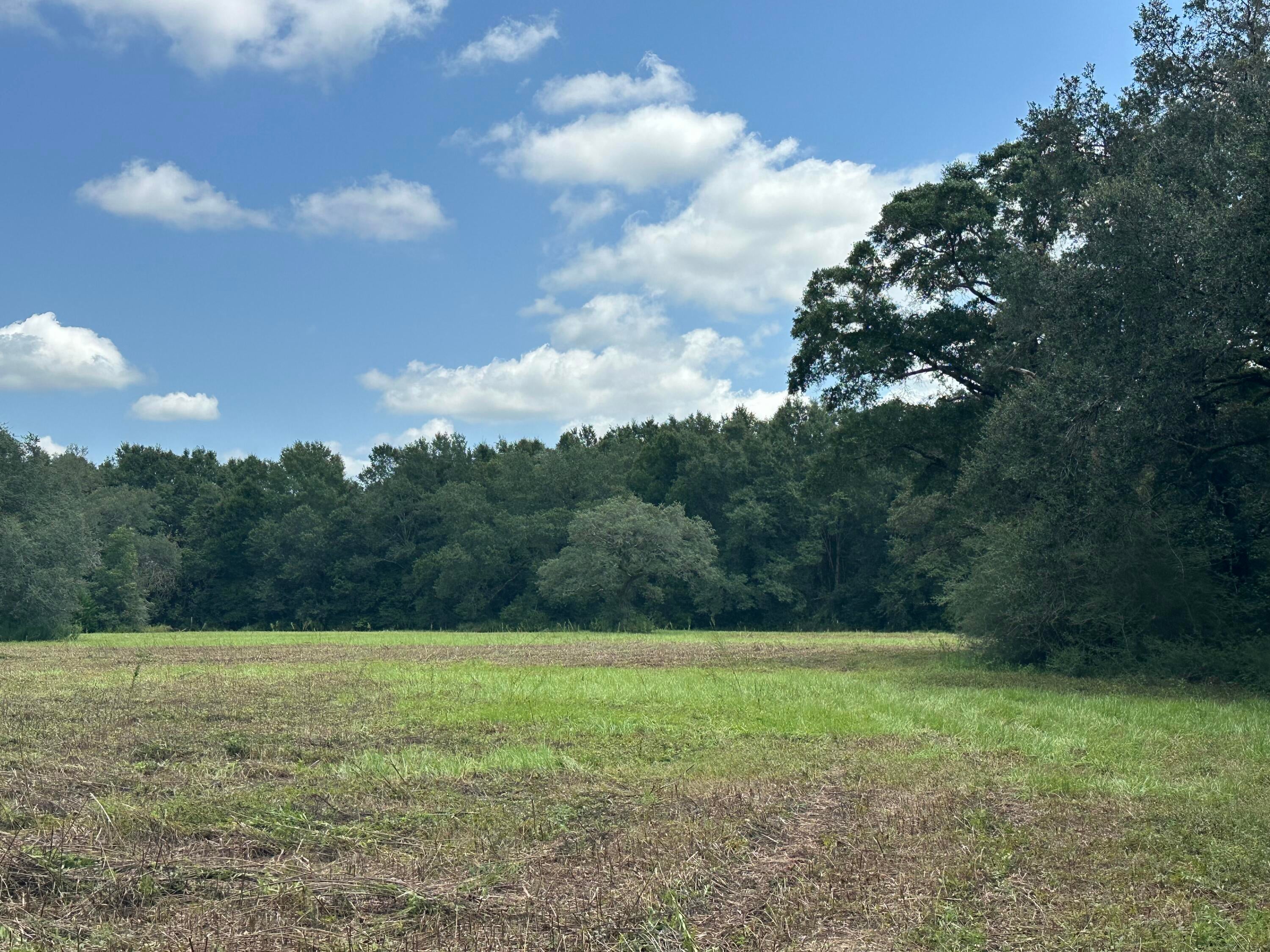 NO RECORDED SUBDIVISION - Land