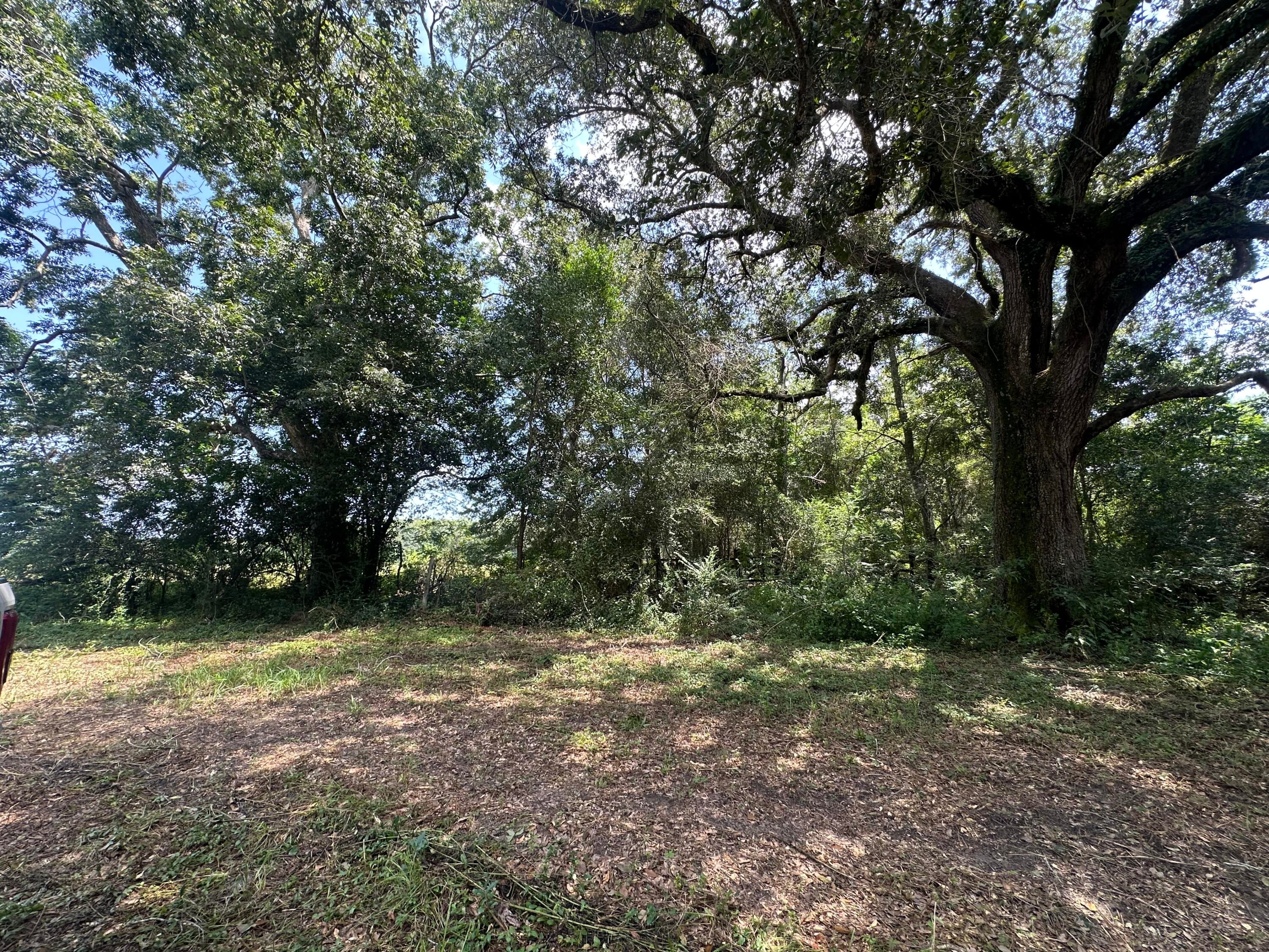 NO RECORDED SUBDIVISION - Land