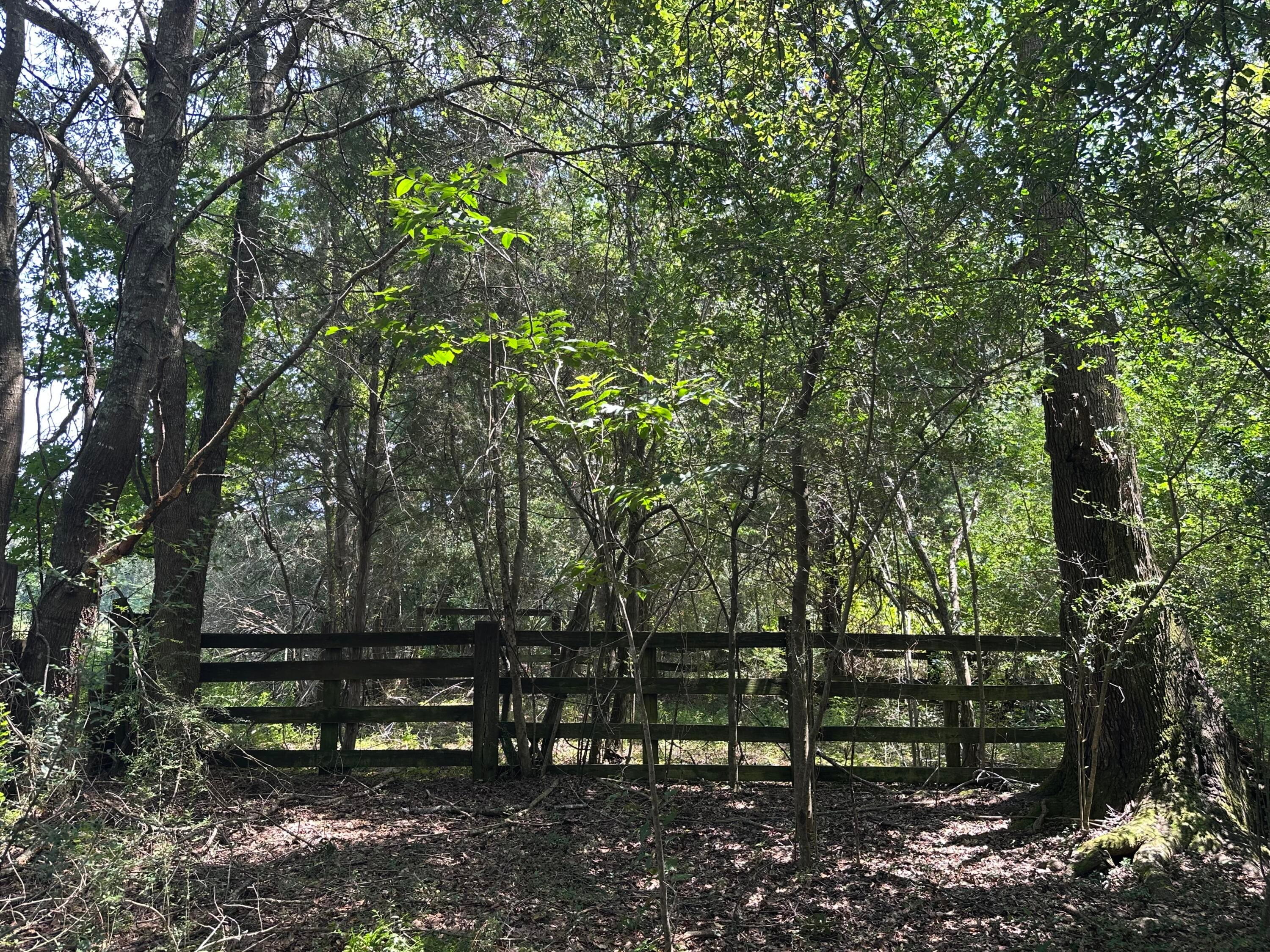 NO RECORDED SUBDIVISION - Land