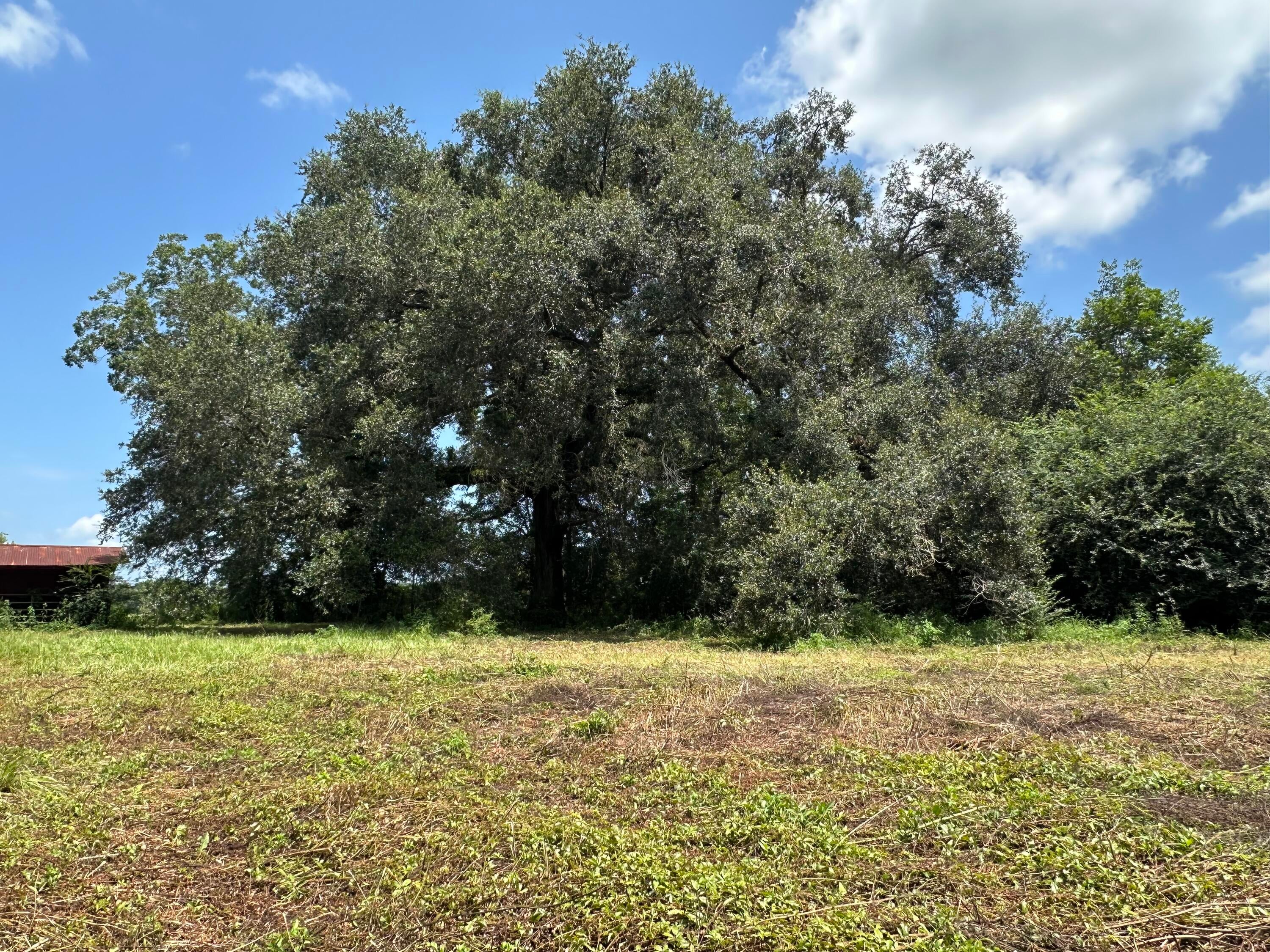NO RECORDED SUBDIVISION - Land