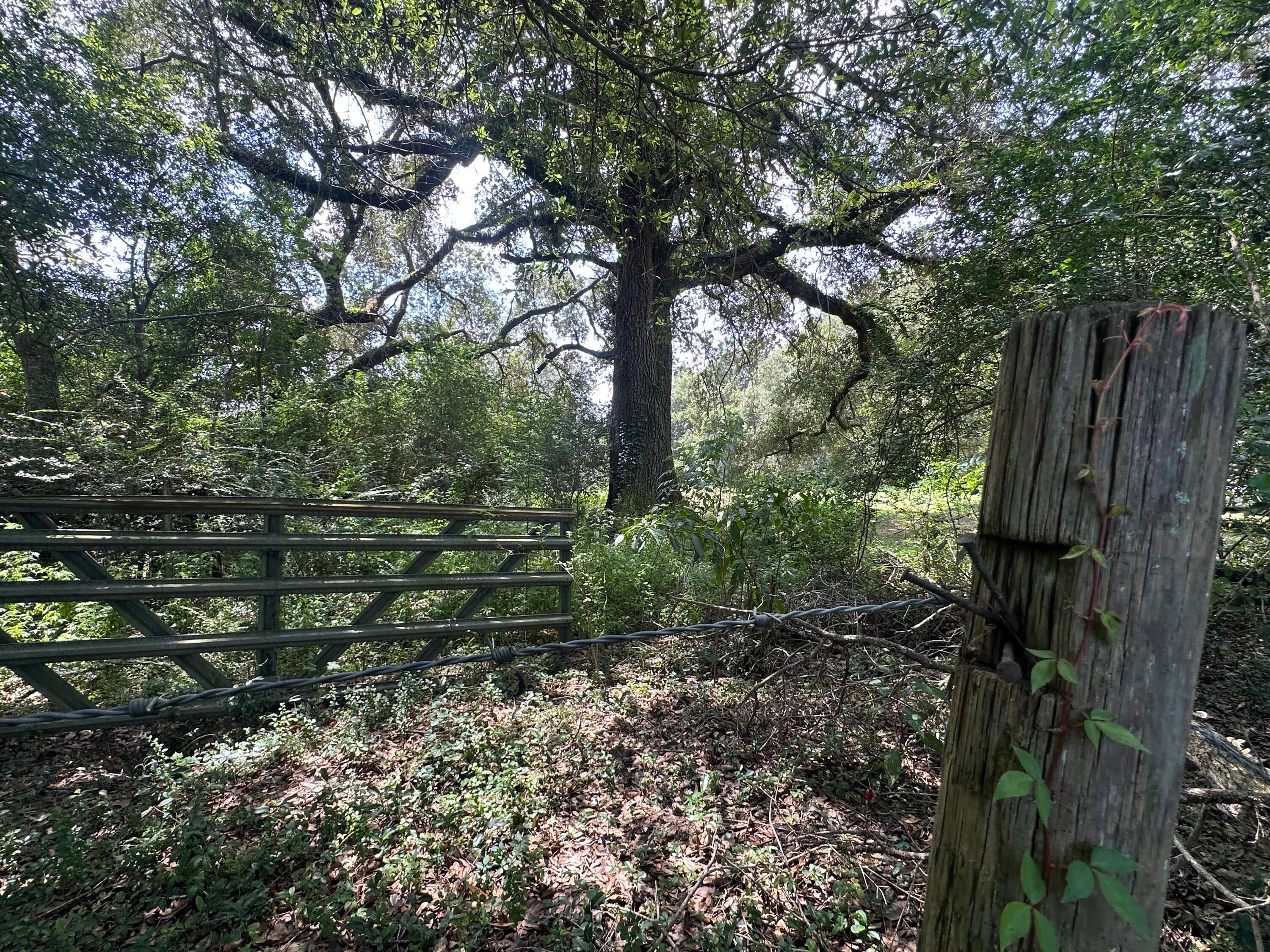 NO RECORDED SUBDIVISION - Land