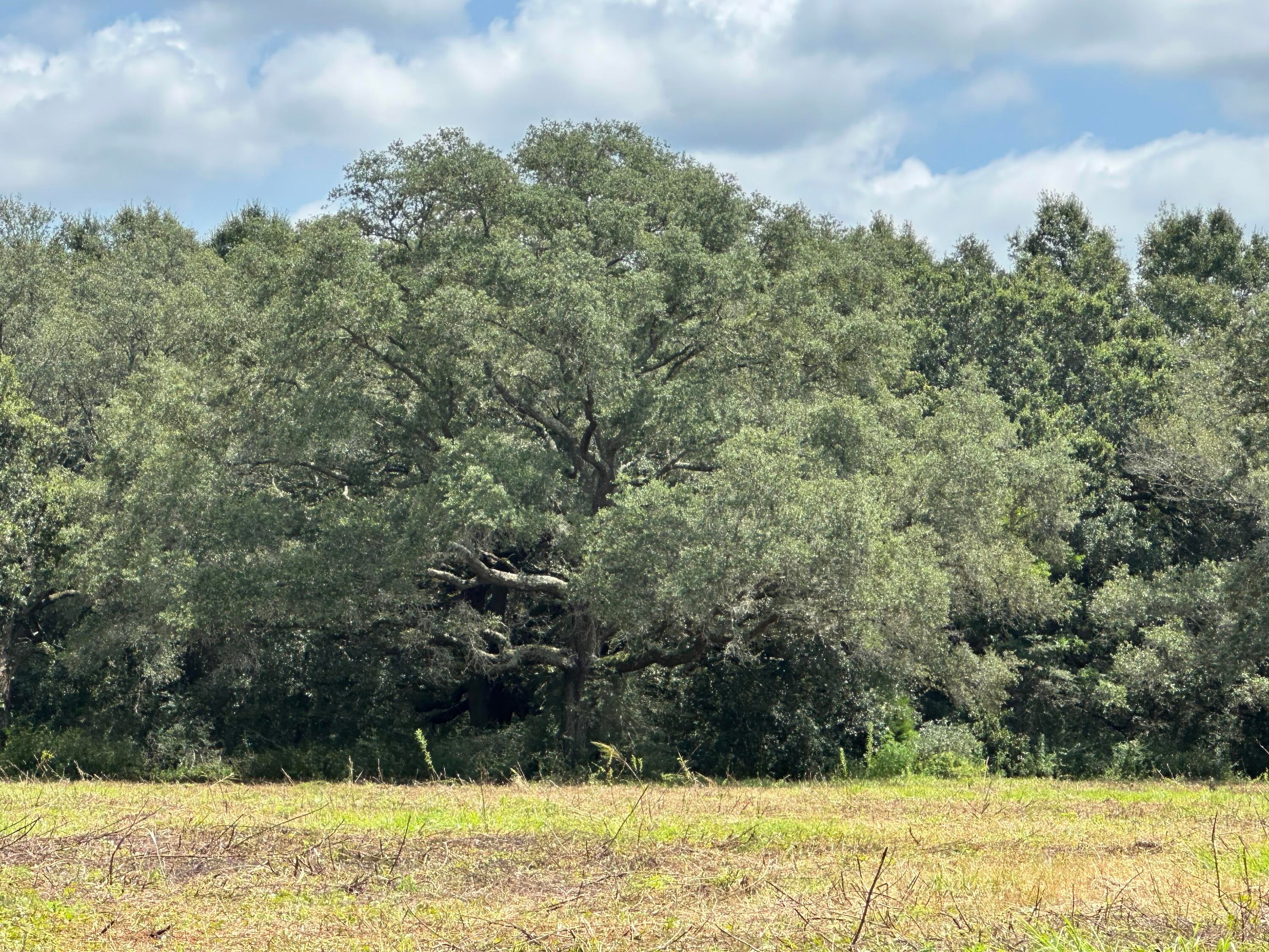 NO RECORDED SUBDIVISION - Land