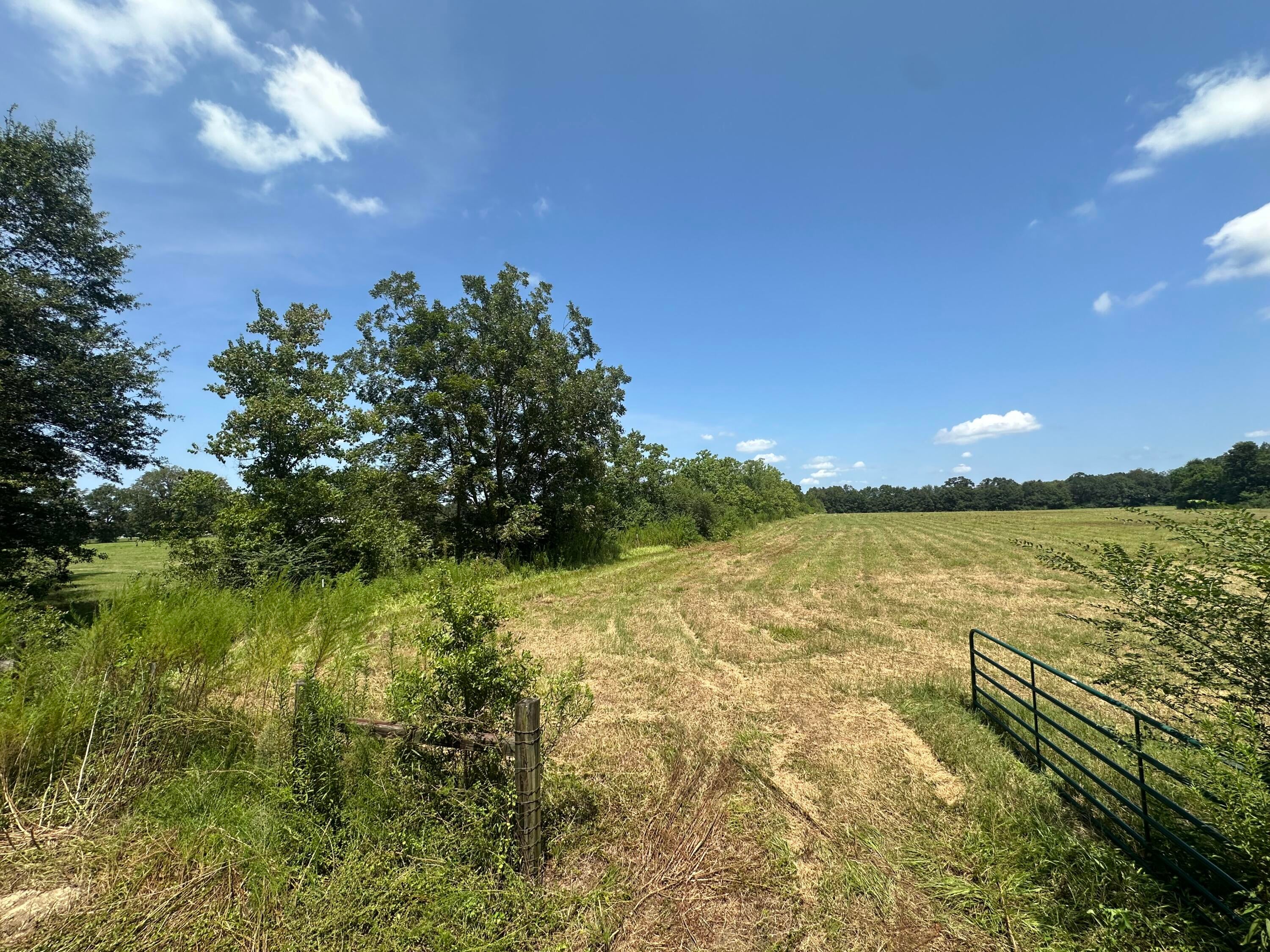 NO RECORDED SUBDIVISION - Land