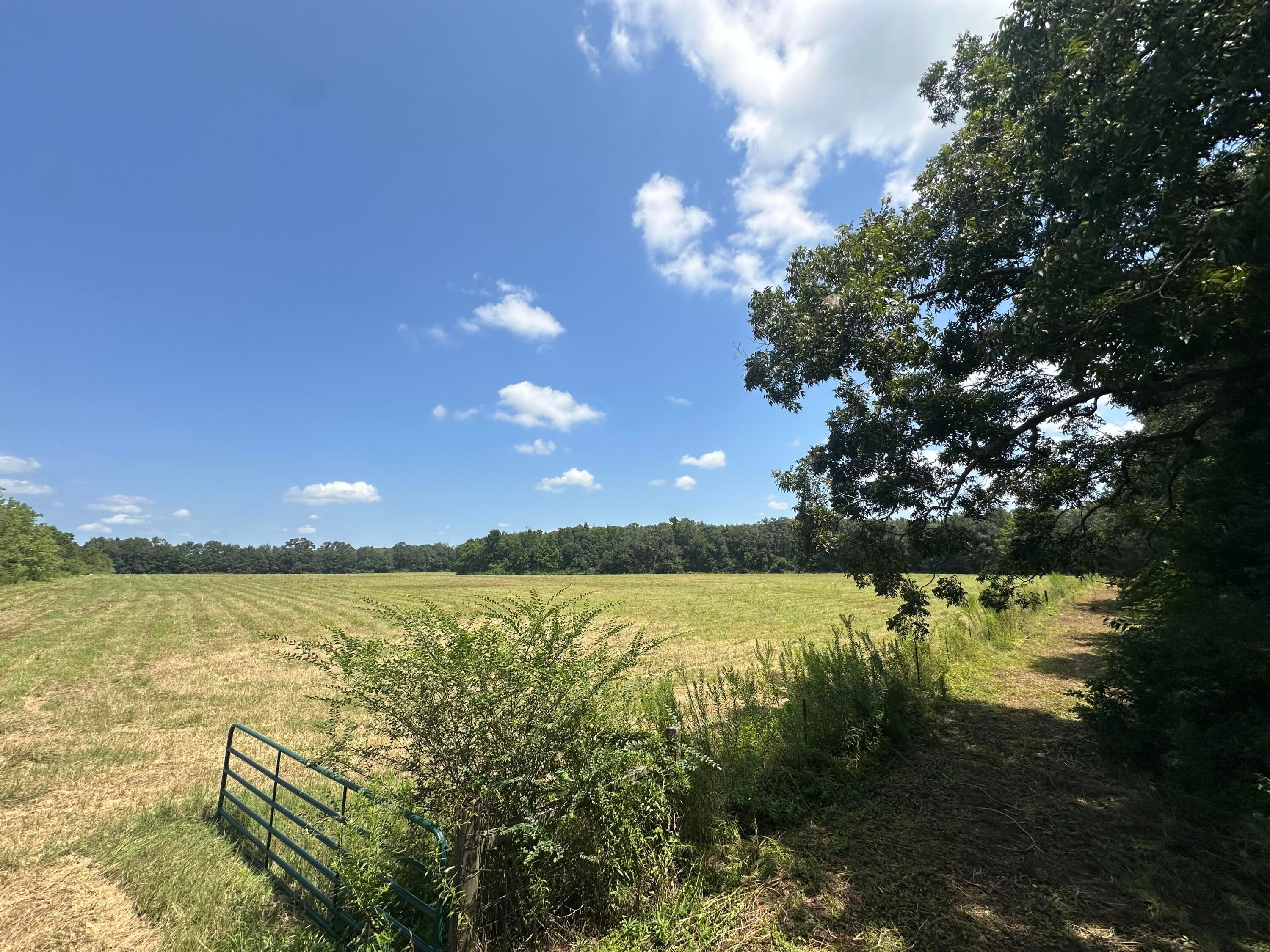 NO RECORDED SUBDIVISION - Land