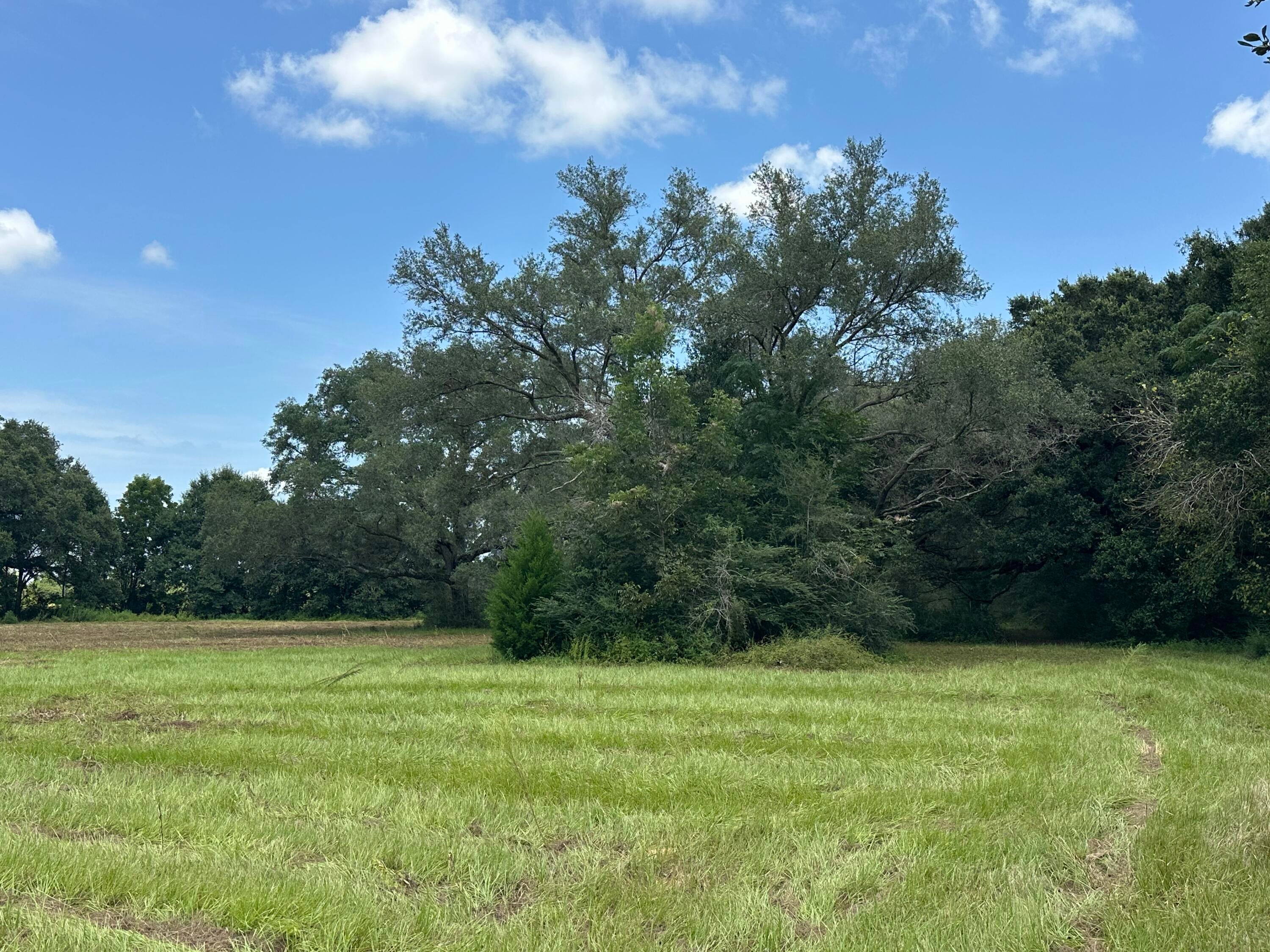 NO RECORDED SUBDIVISION - Land