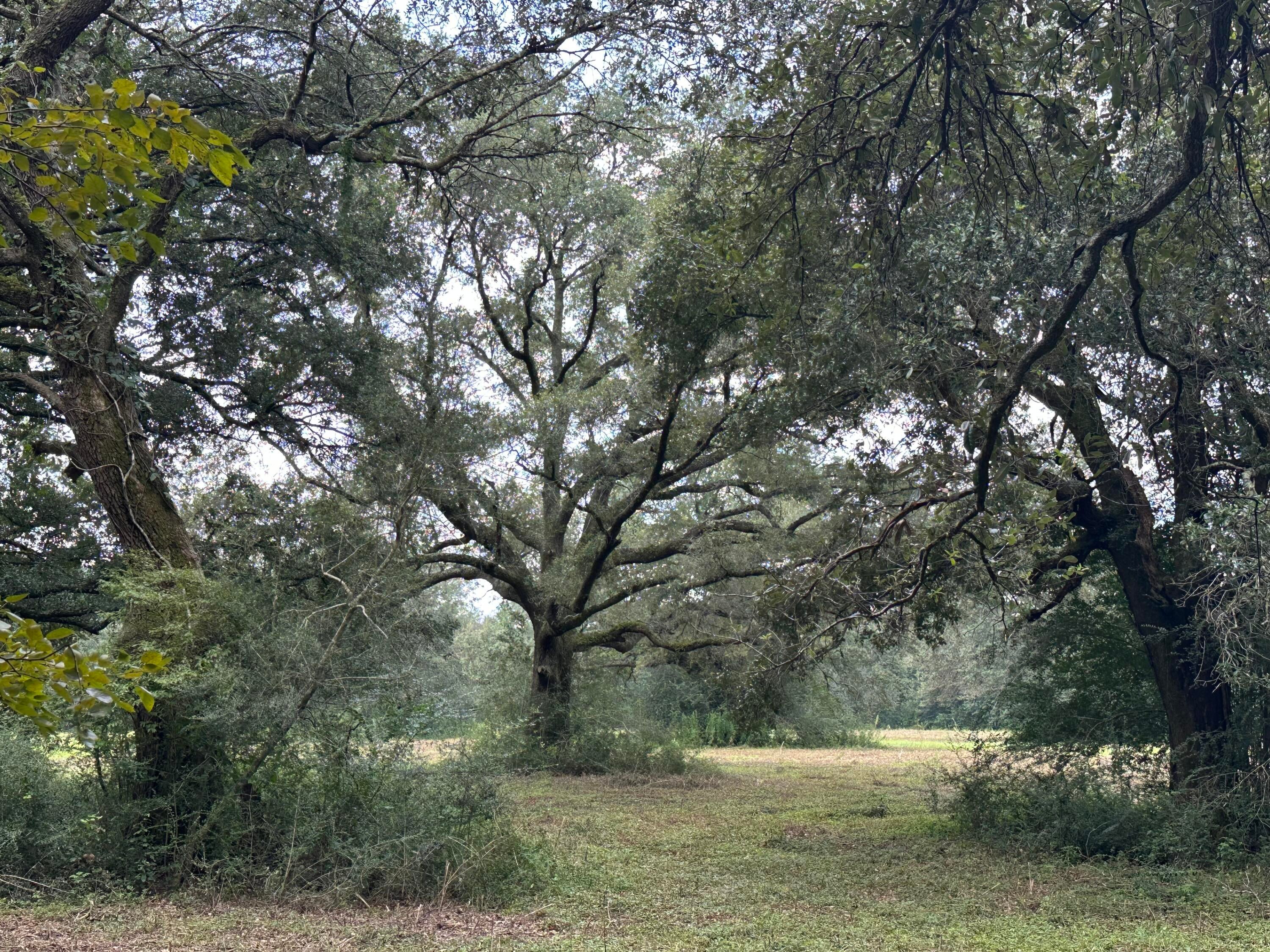 NO RECORDED SUBDIVISION - Land