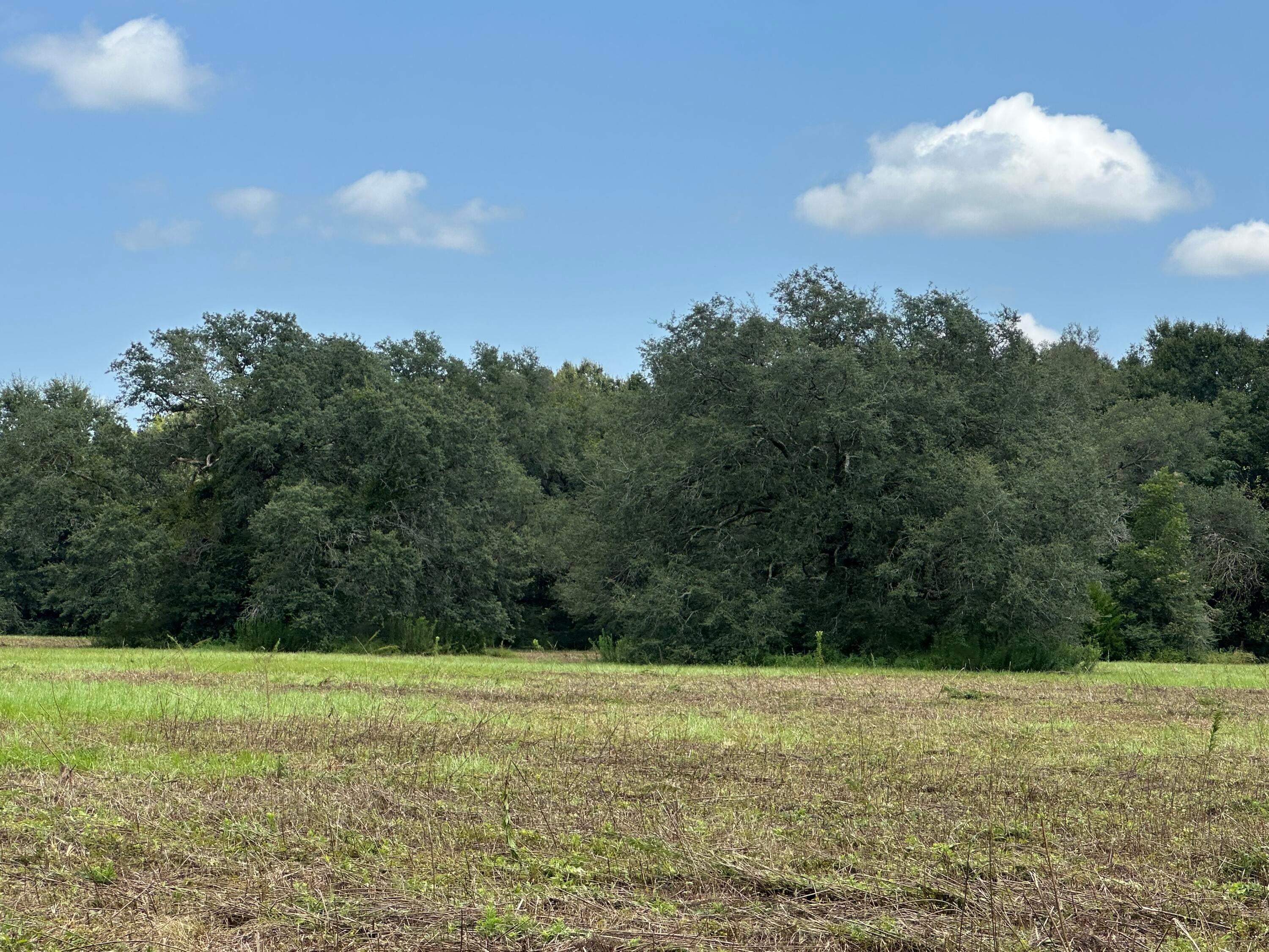 NO RECORDED SUBDIVISION - Land