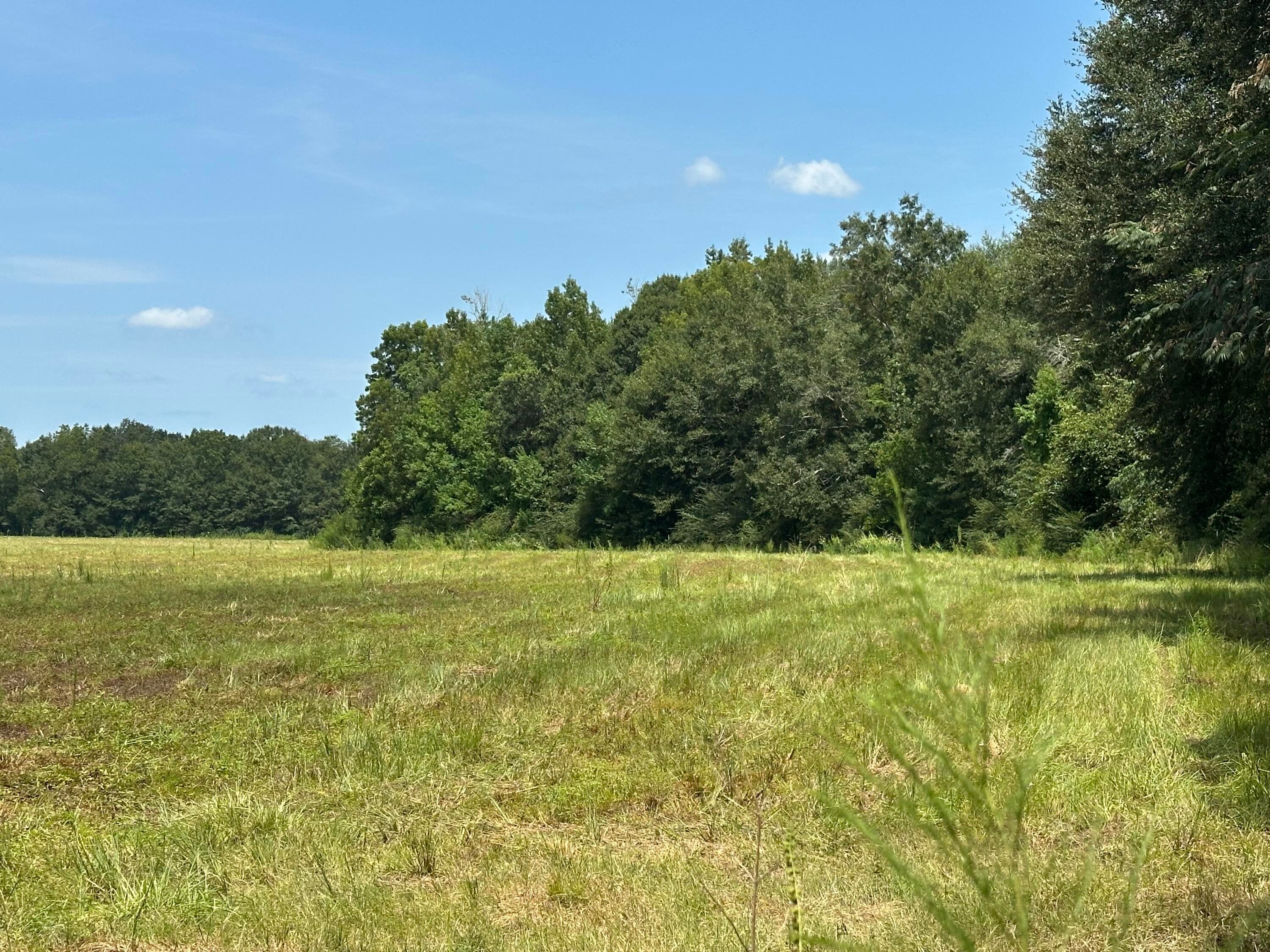 NO RECORDED SUBDIVISION - Land