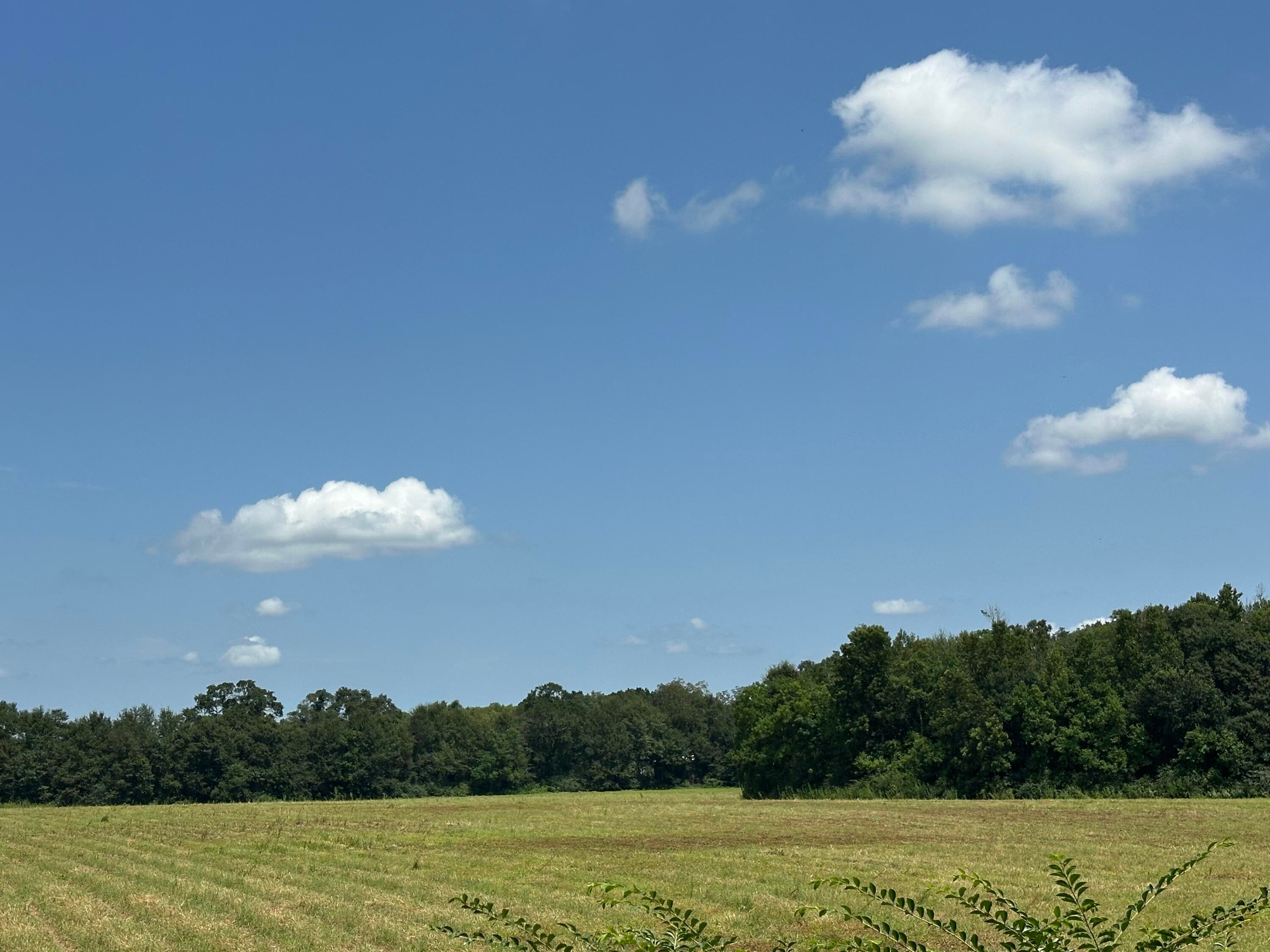 NO RECORDED SUBDIVISION - Land
