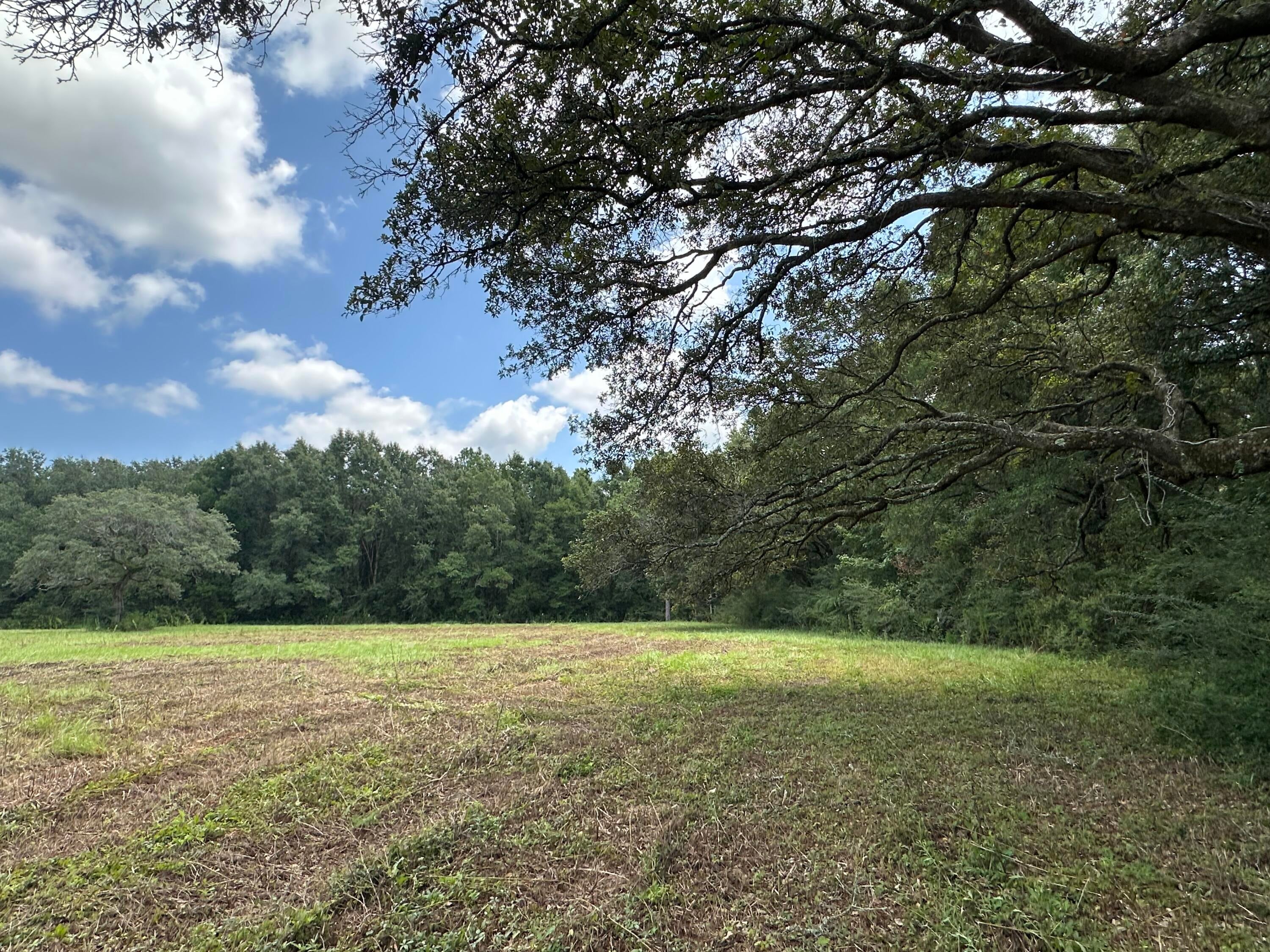 NO RECORDED SUBDIVISION - Land