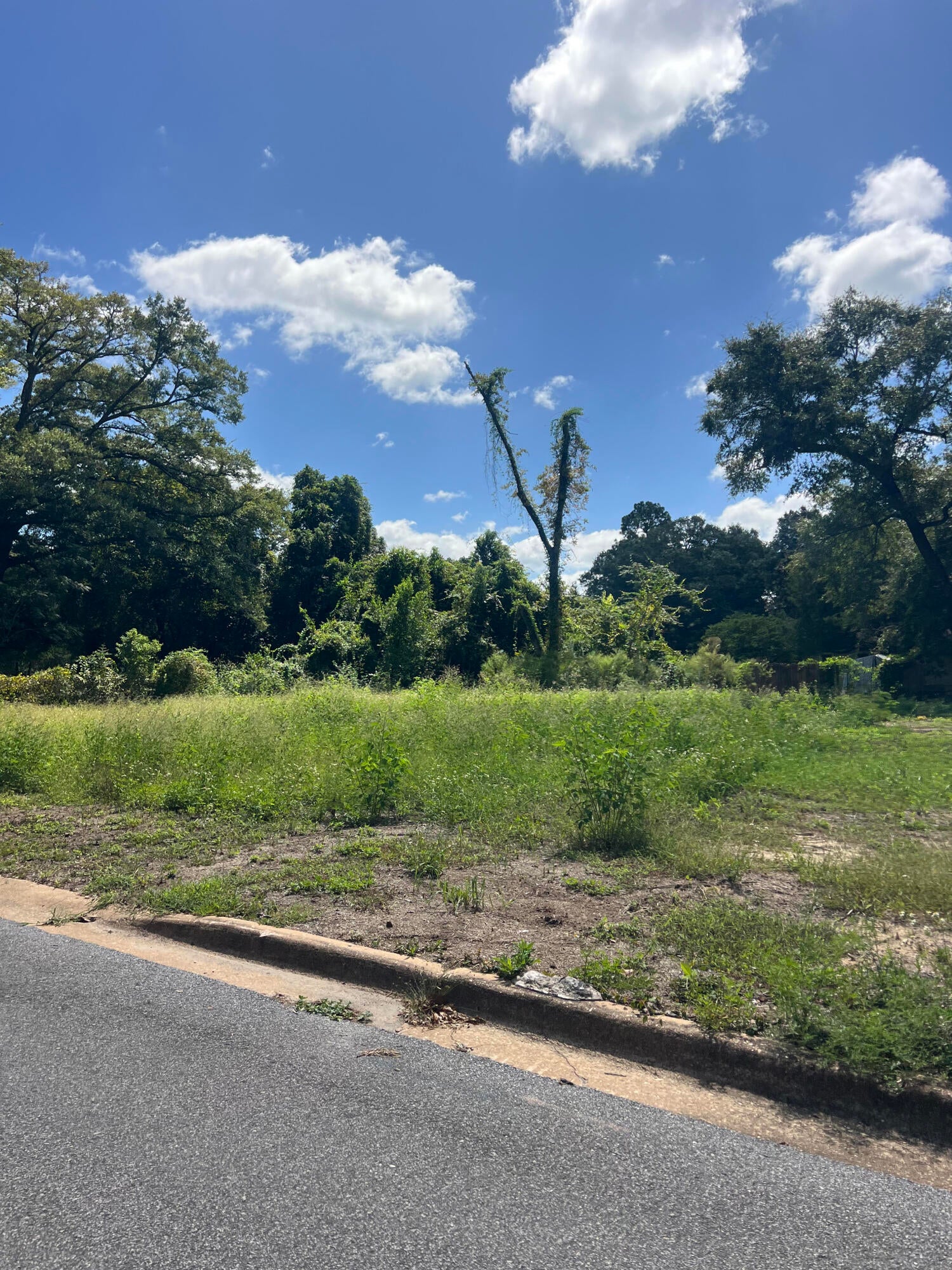 Investors AND Homeowners -
Residential lot in the heart of a growing Crestview ! 
Few lots in the neighborhood have been recently bought with plans on building new residential homes.
Perfect time to invest in this quaint neighborhood.