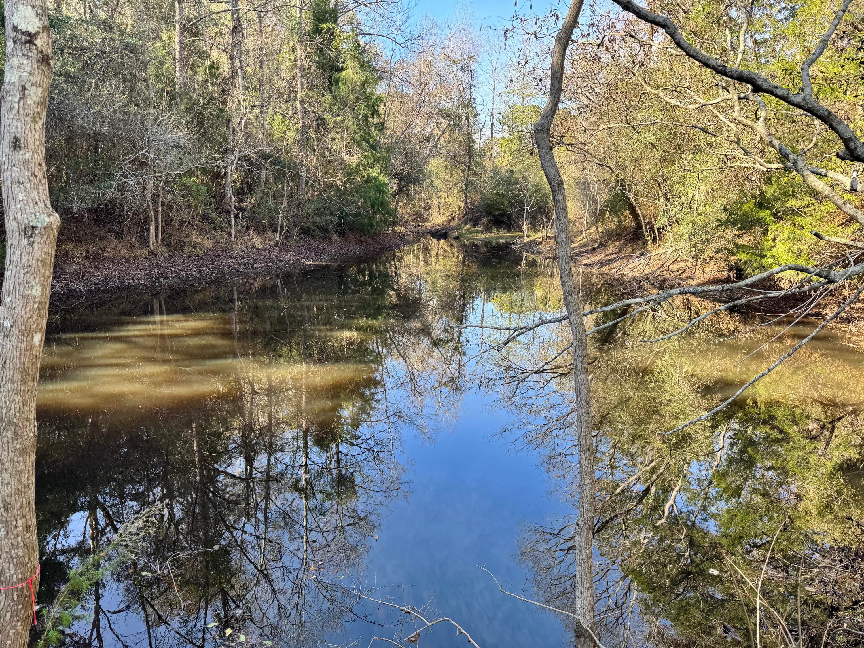 CEDAR RIDGE - Land
