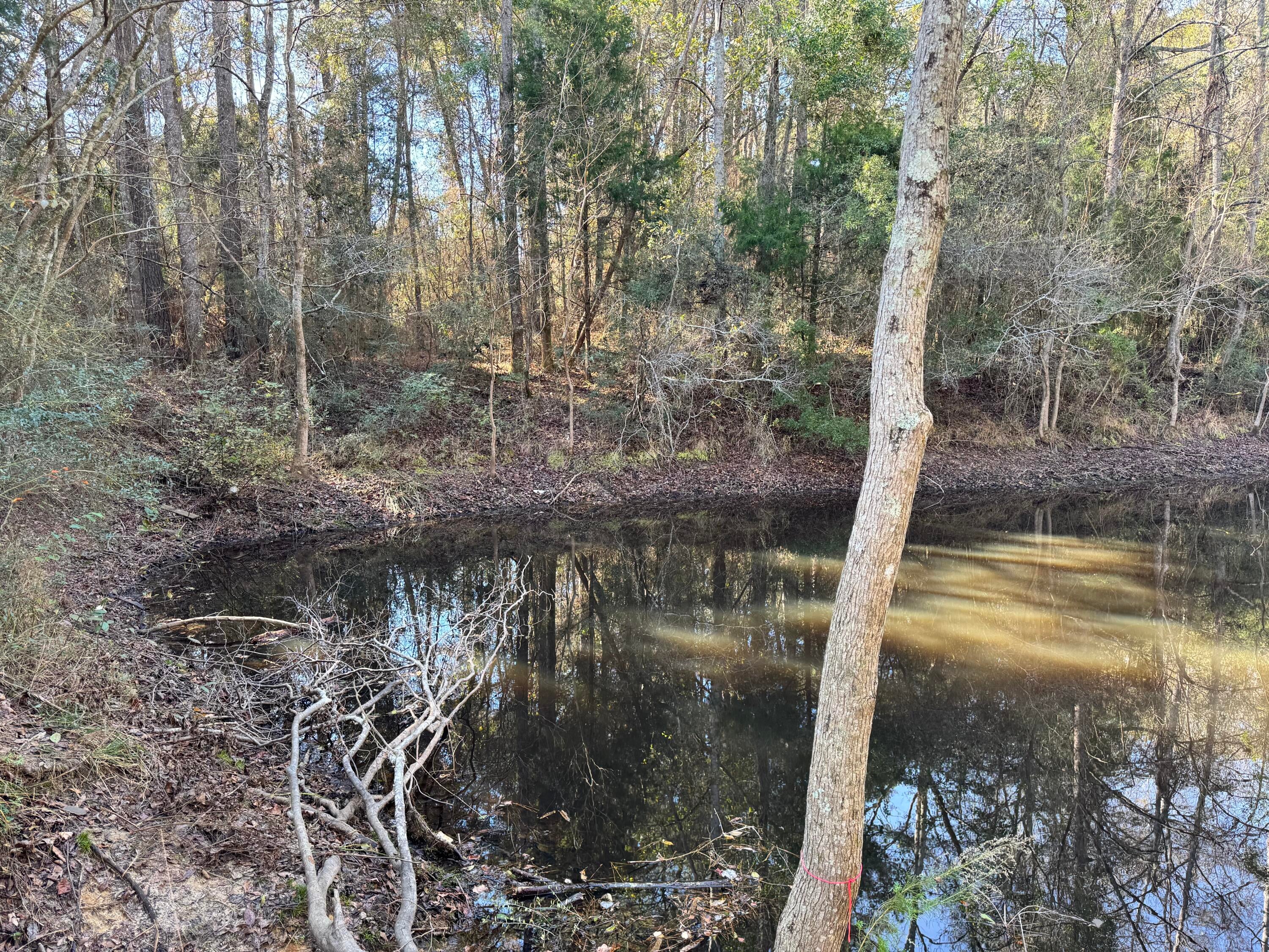 CEDAR RIDGE - Land