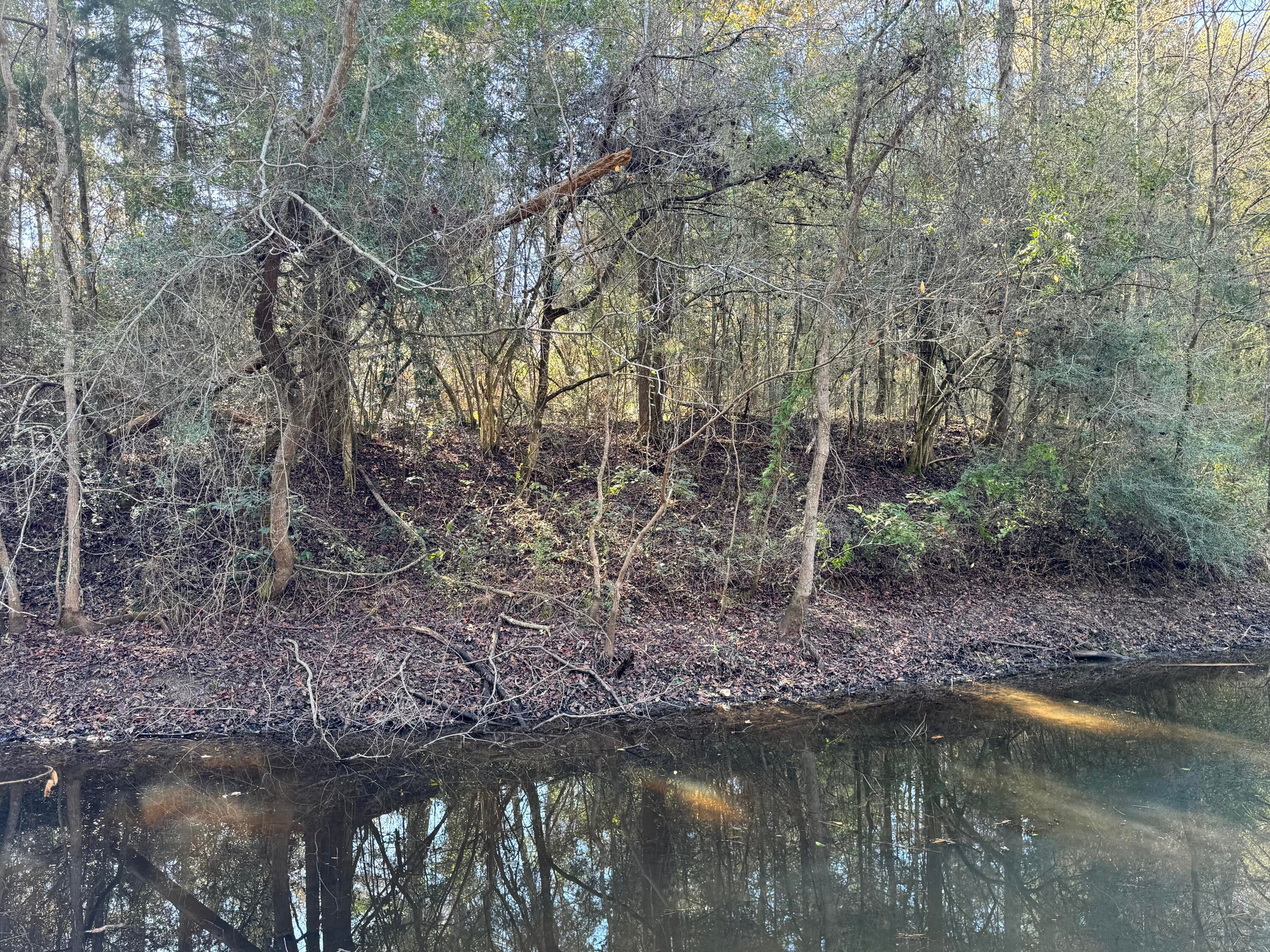 CEDAR RIDGE - Land