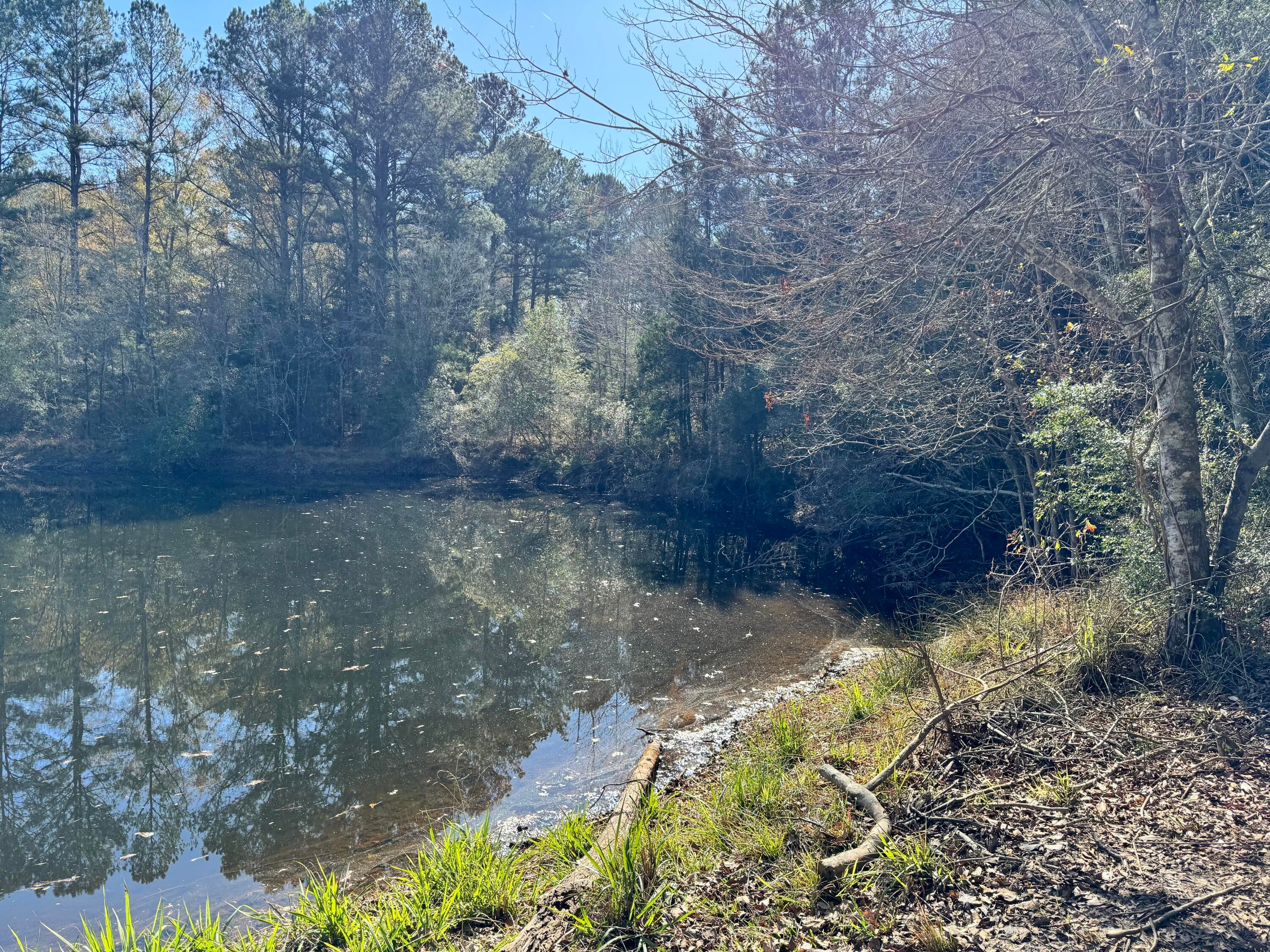 CEDAR RIDGE - Land