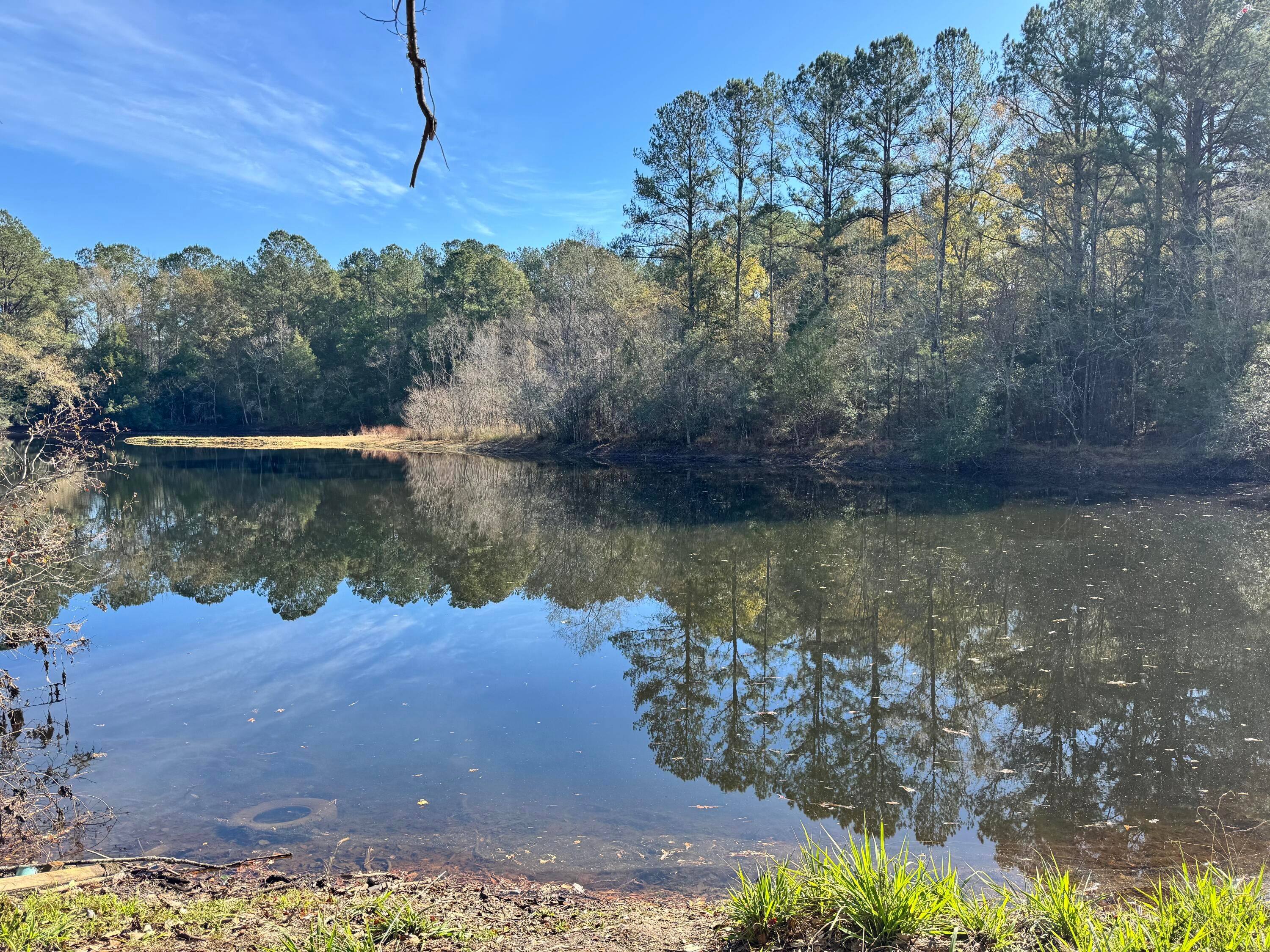 CEDAR RIDGE - Land