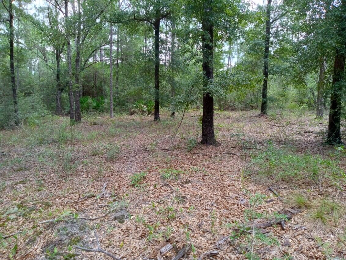 Partially cleared vacant land in Walton County Florida. Great for weekend camping or building your new home. Beautiful property with a small creek. No power or water.