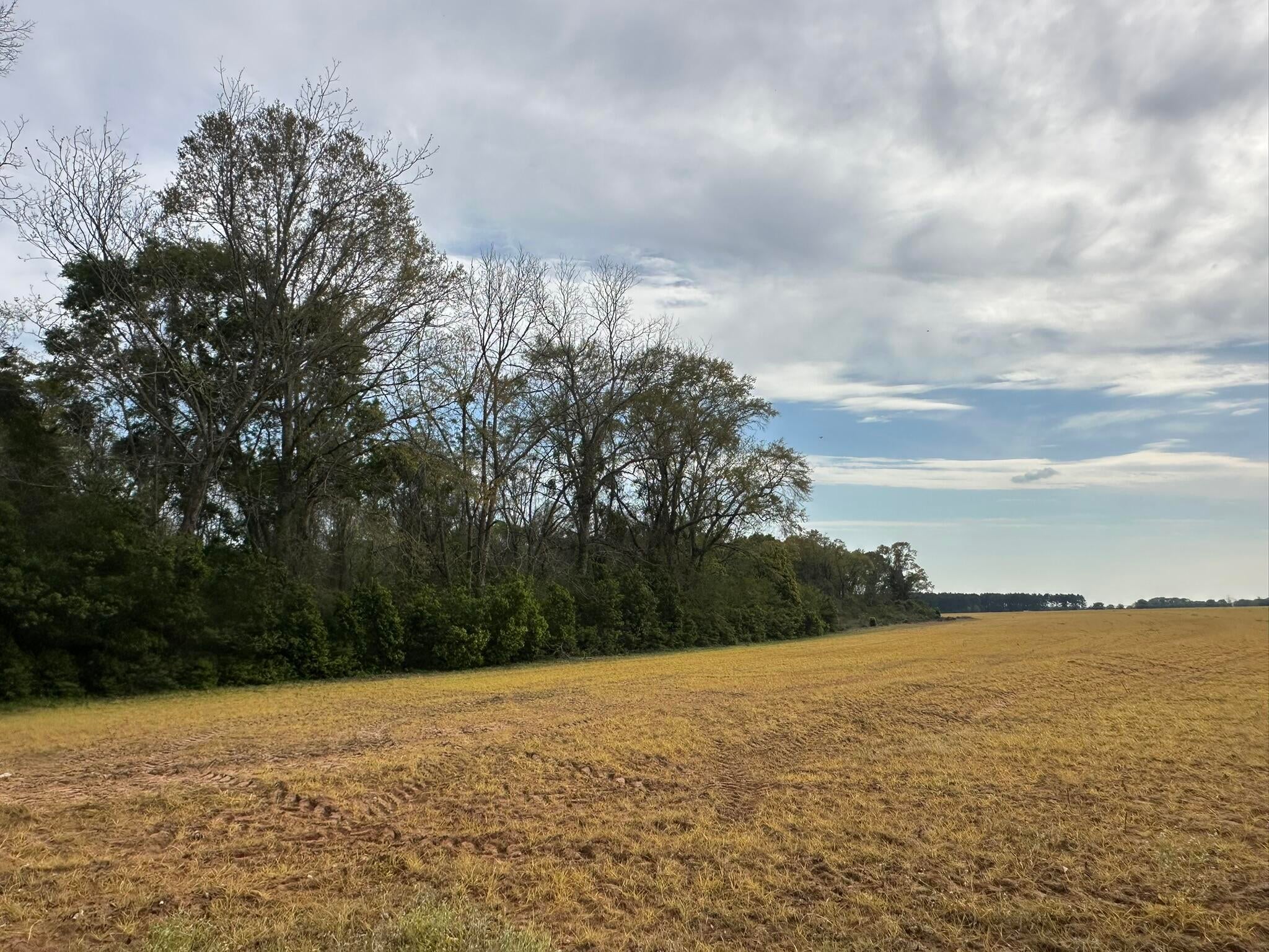 NO RECORDED SUBDIVISION - Land