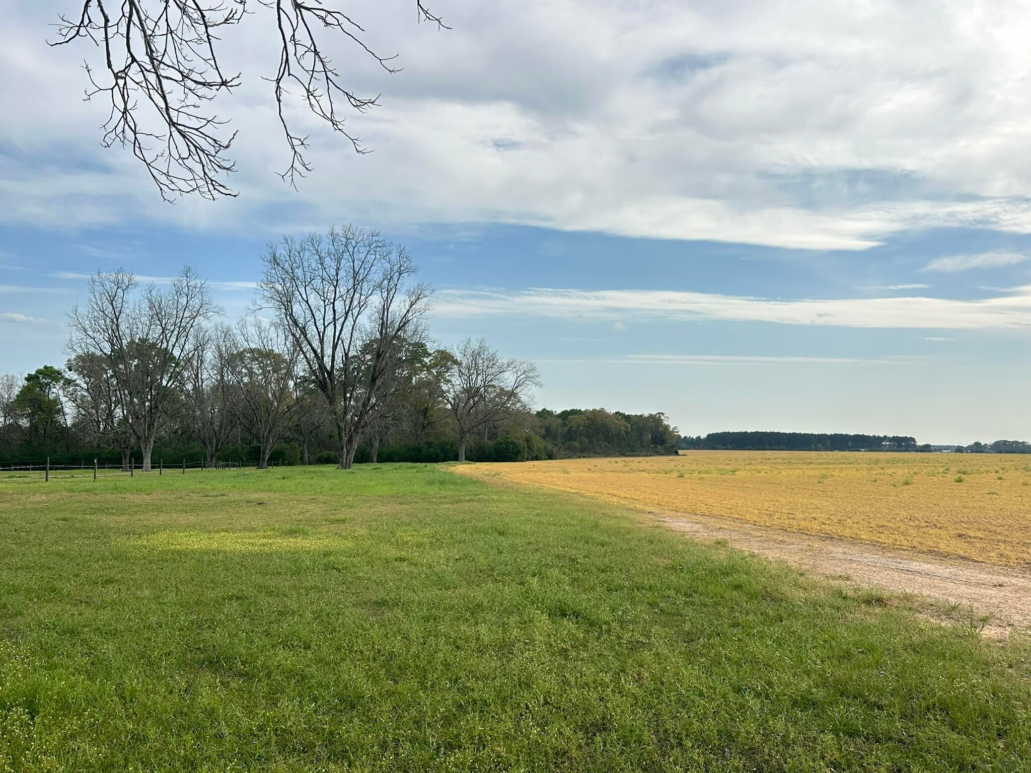 NO RECORDED SUBDIVISION - Land