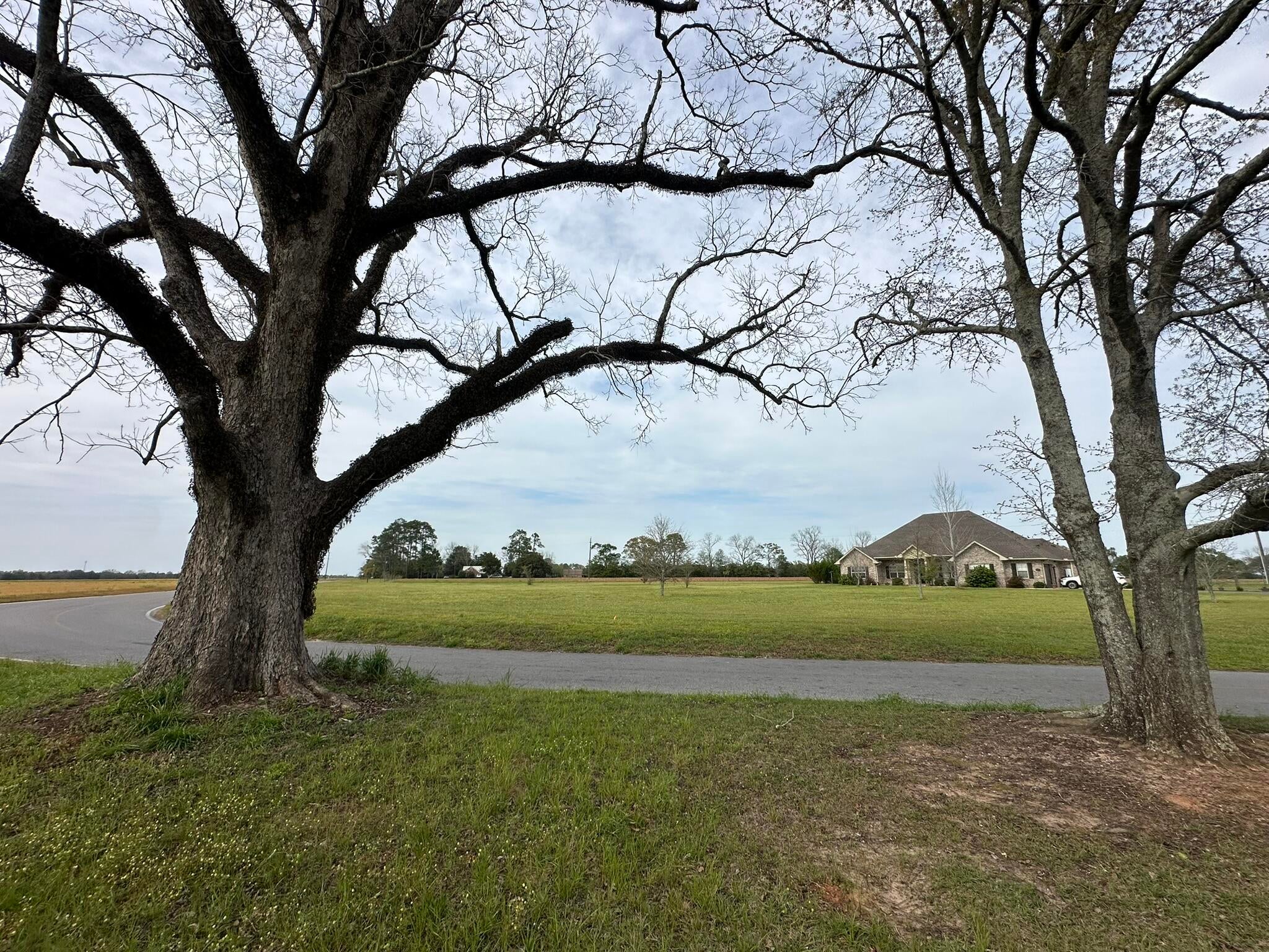 Approximately 10 acres off Vinson Ray Road in Baker, Florida, featuring beautiful Giant Red Oak trees and a natural setting adjacent to a cleared peanut field. This property offers a peaceful piece of Northwest Florida countryside with room for agricultural use, recreation, a private homesite, or simply enjoying the outdoors. Located in the rural Baker area, the property reflects the character that makes this part of Northwest Florida appealing, with open skies, working farmland, mature trees, and plenty of room to enjoy the land. The combination of wooded areas and neighboring agricultural acreage provides a scenic backdrop and a sense of space and privacy. Whether you're looking for land to hold for future plans, a place to enjoy recreational pursuits, or an opportunity to create your own piece of the countryside, this parcel offers flexibility and room to shape the property to fit your vision. Approximately 10 acres with mature Giant Red Oaks, adjacent to a cleared peanut field, and the rural character of Baker all around.