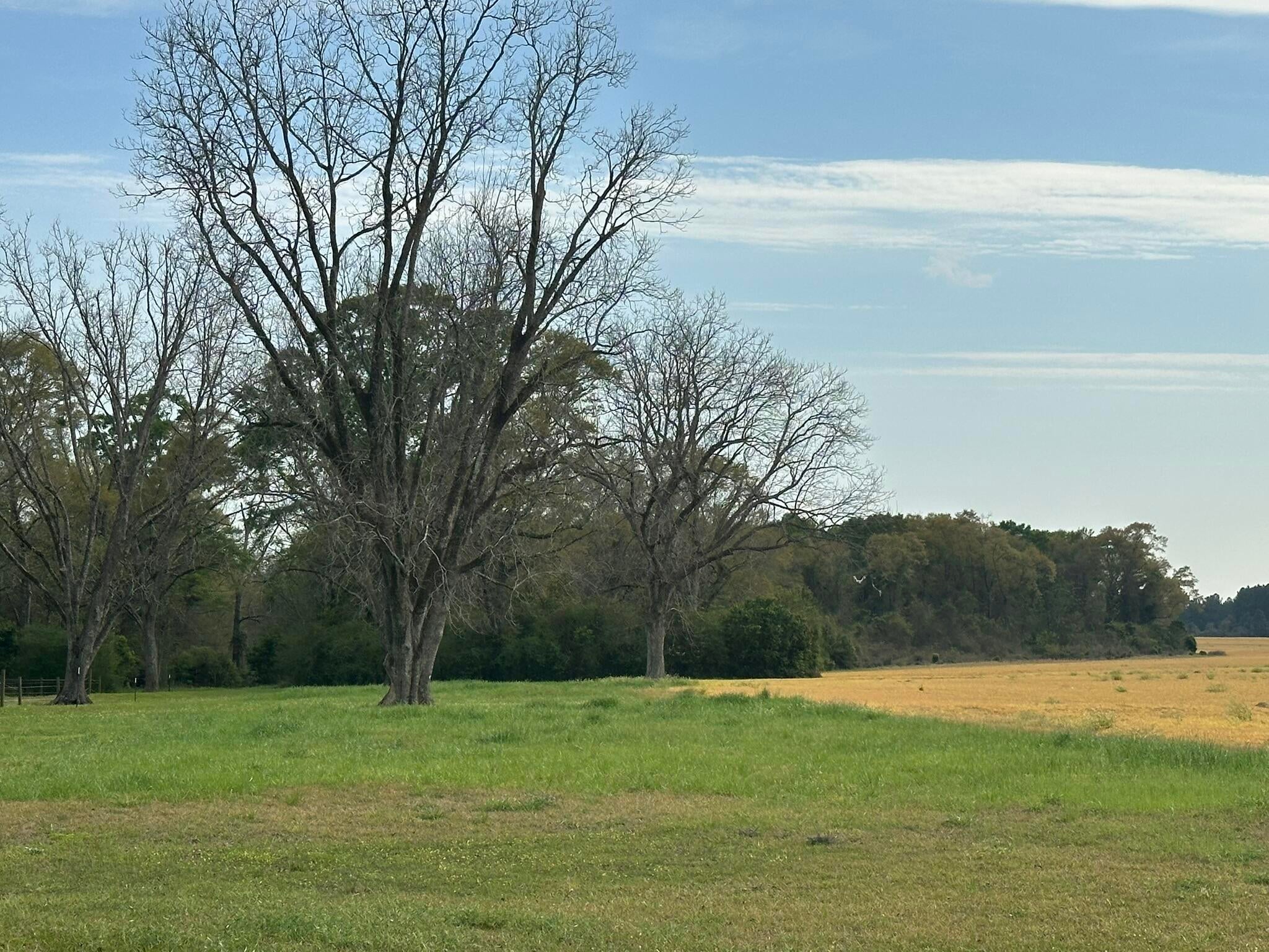 NO RECORDED SUBDIVISION - Land