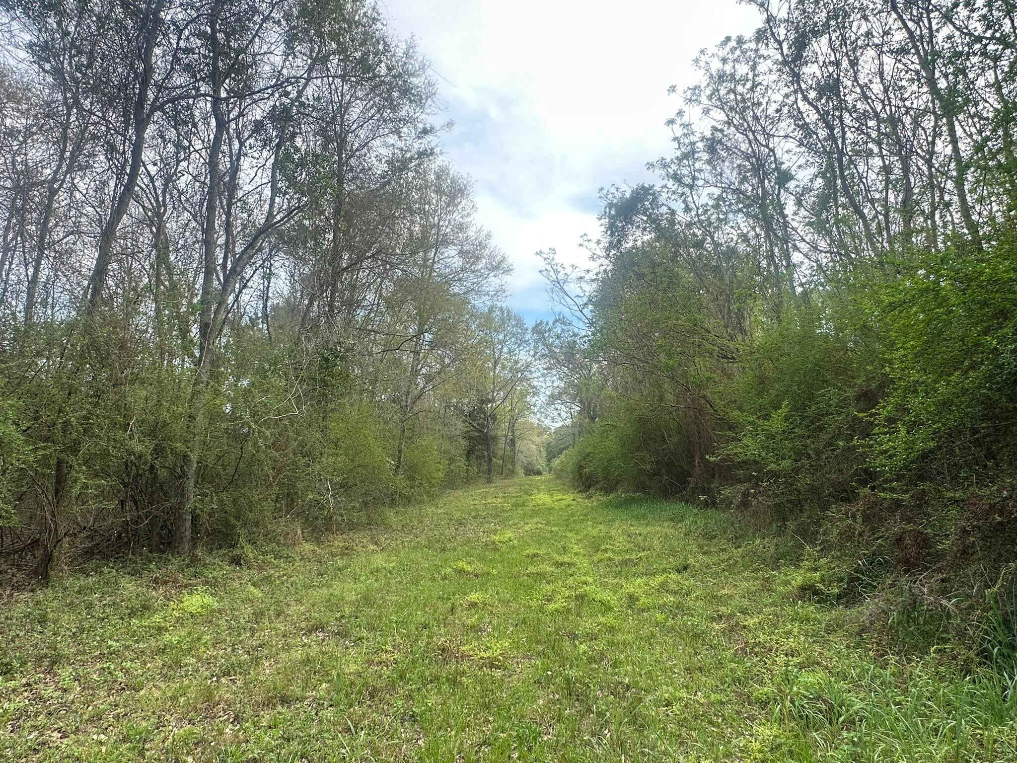 NO RECORDED SUBDIVISION - Land