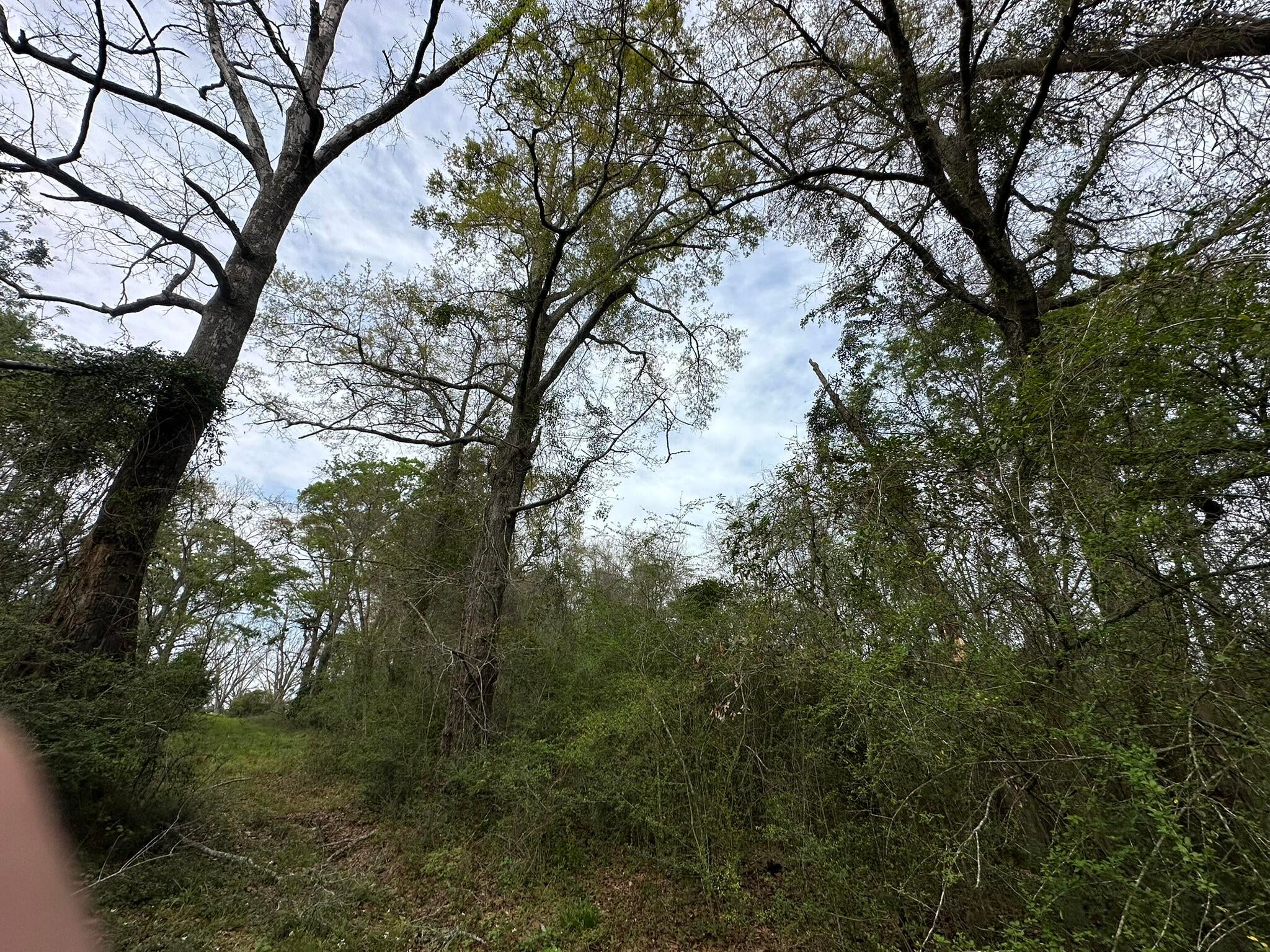 NO RECORDED SUBDIVISION - Land