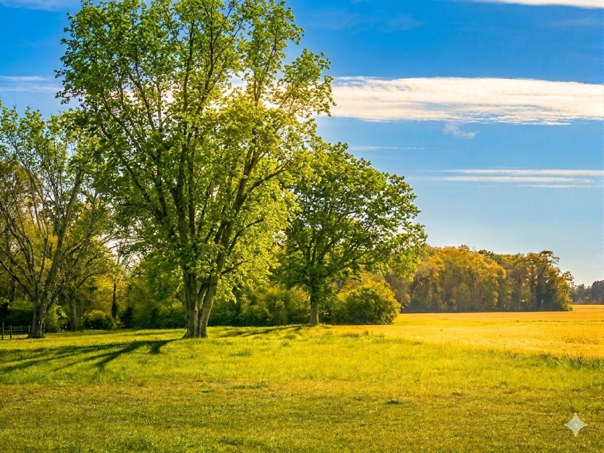 NO RECORDED SUBDIVISION - Land