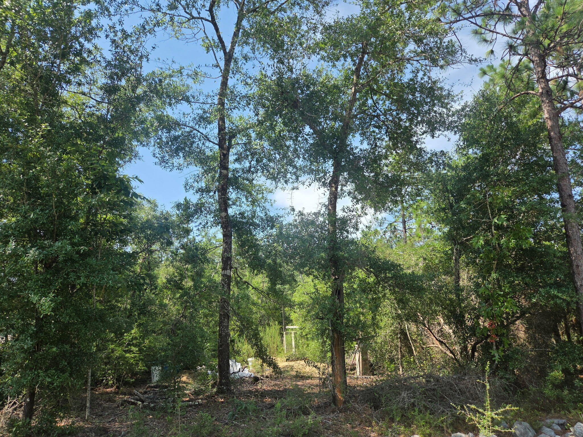 OAKWOOD HILLS - Land