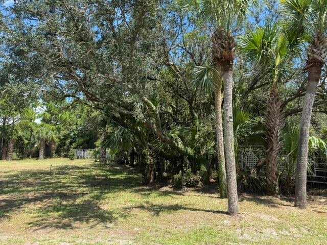 A PORTION OF LOT 29 S/D OF LOT 2 4-3S-20 - Land