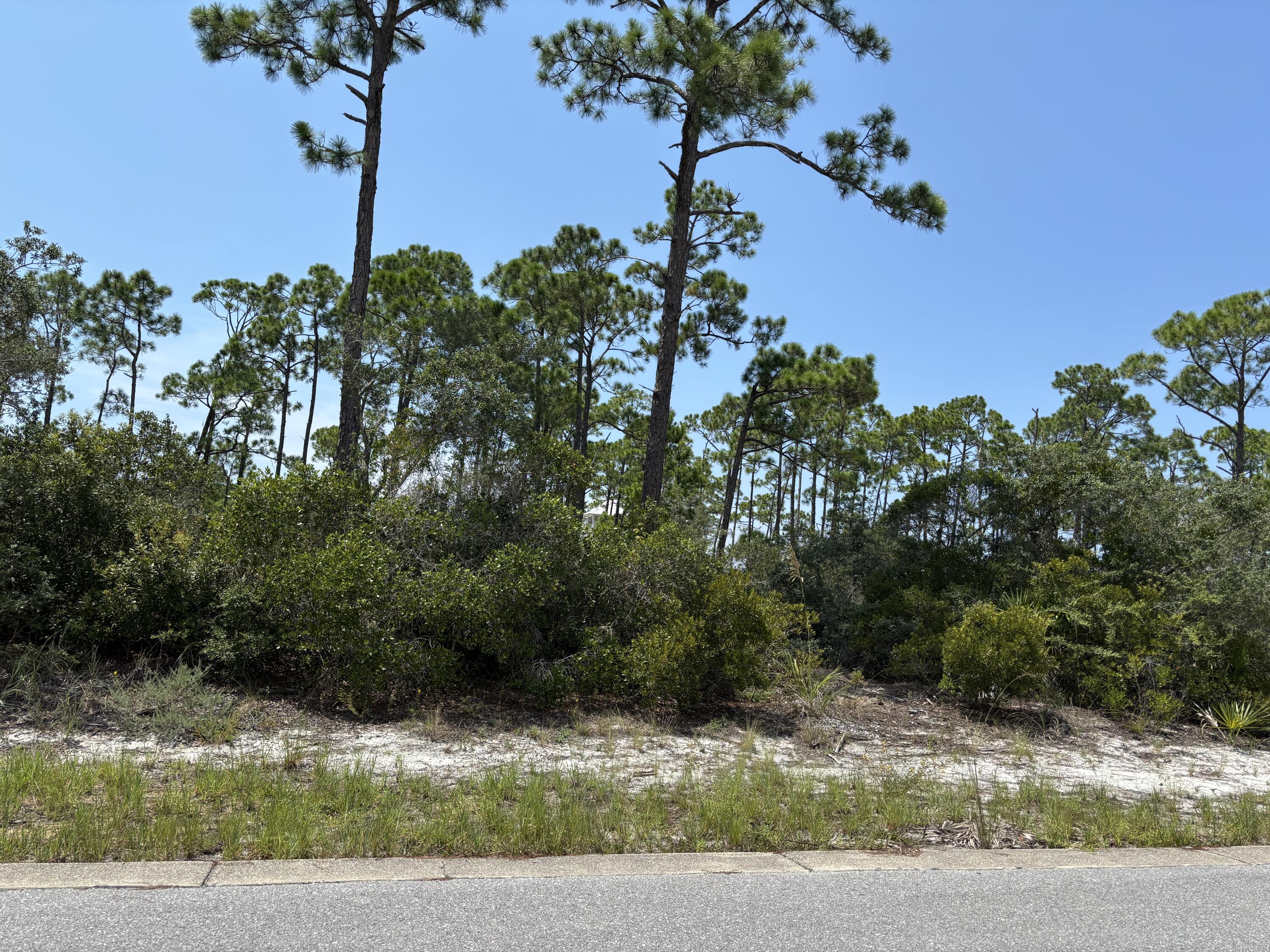 Windmark Beach Phase One prime building lot. Enjoy all the amenities of Windmark Beach Phase one and Two, but the gated privacy and exclusivity of Phase one. Lot is adjacent to a meandering boardwalk that terminates directly into the pool/clubhouse that is dedicated for this subdivision. There are also three day docks for the residents private use. A plethora of conservation lands are adjacent to this lot and abounds throughout the subdivision. Priced to sell in one of Port St. Joe's and Mexico Beach areas most exclusive neighborhoods.