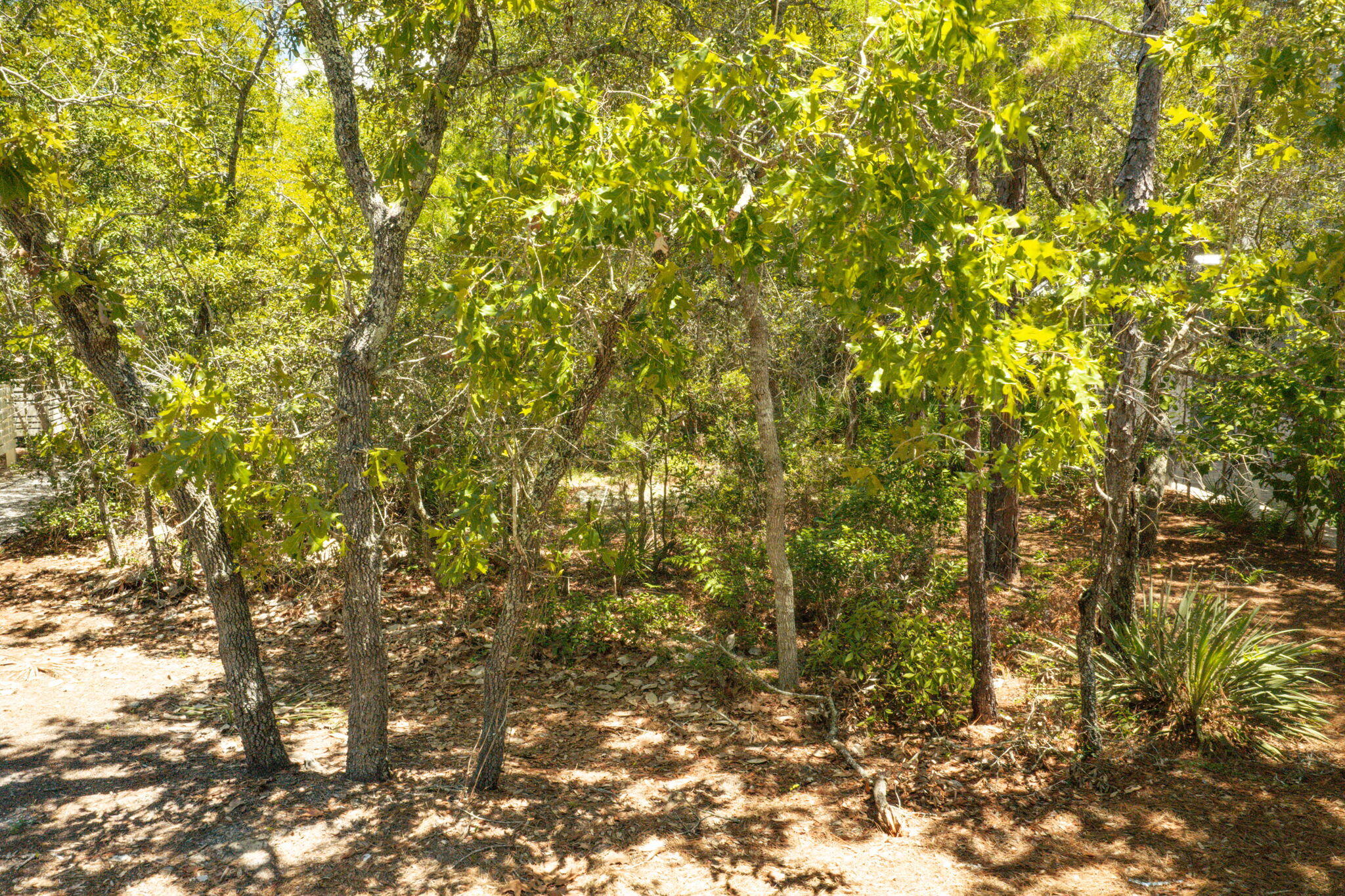 HAMMOCKS AT SEAGROVE - Land
