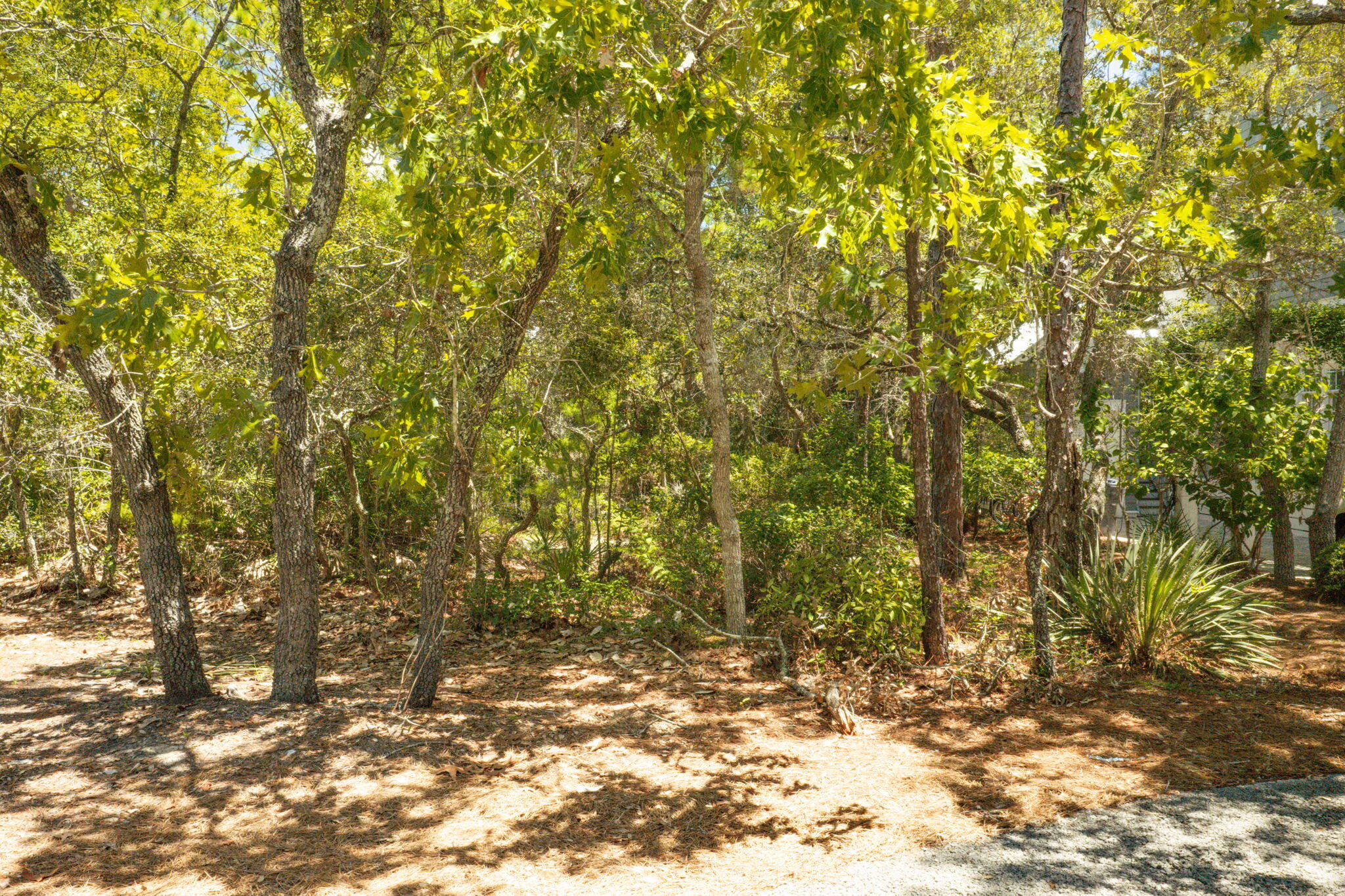 HAMMOCKS AT SEAGROVE - Land