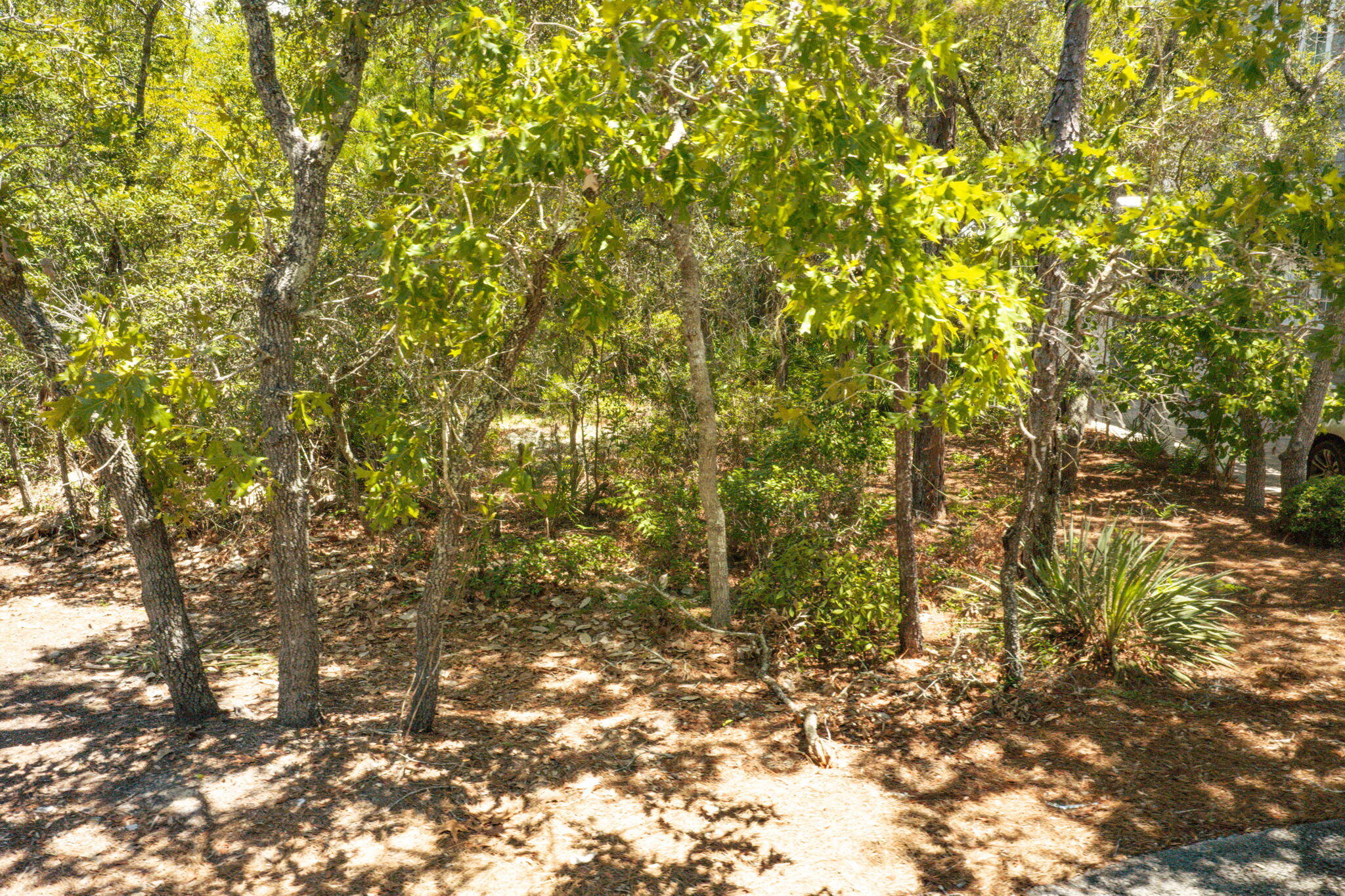 HAMMOCKS AT SEAGROVE - Land