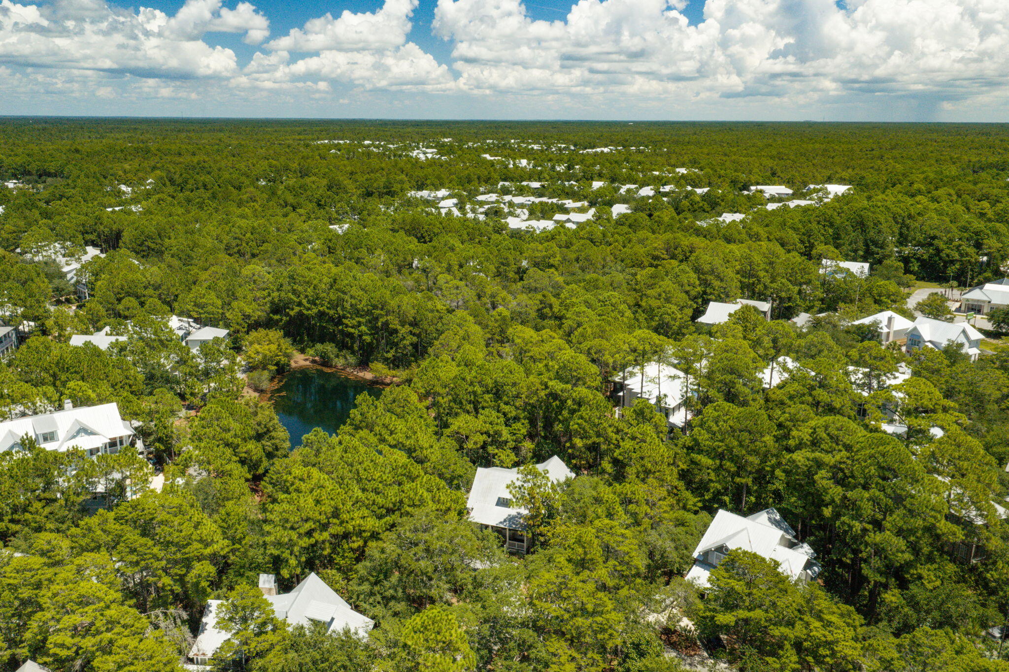 HAMMOCKS AT SEAGROVE - Land