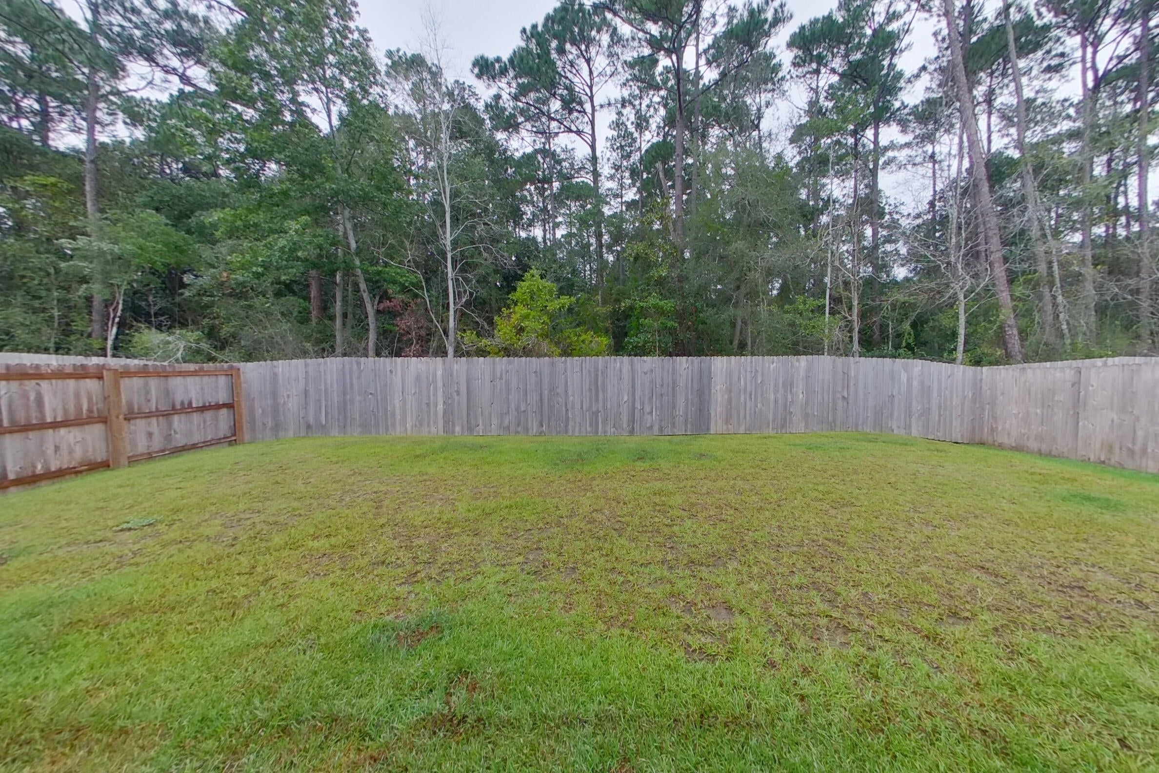 Monarch Place - Residential Lease