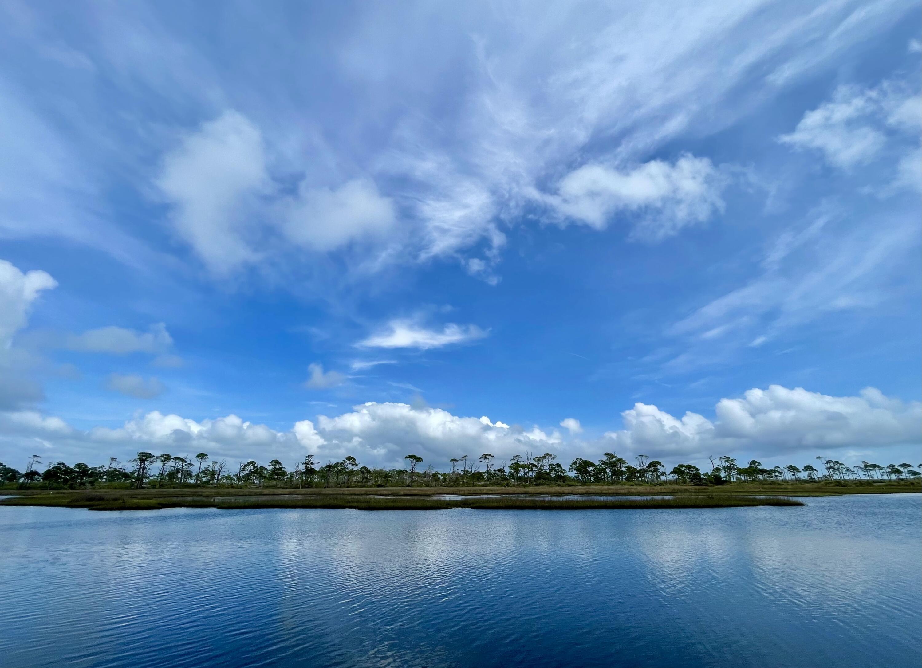 A rare opportunity for a Bayfront lot on North Cape San Blas. This large lot is over 1.18 acres (per plat) and with 100' plus of St Joseph Bay frontage with substantial improvements. Parcel is partially cleared for a homesite yet still has a nice variety of native foliage. Located only 1/3 of a mile from St Joe Shrimp Company and 1/2 mile from Scallop cove this parcel is in a great location and in the heart of the Pig Island channel for great boating access. Onsite amenities include a 24' x 24' pole barn with enclosed storage shed, finished dock with power and boat lift( needs some repair), drive way with gate, water tap paid/ installed, and cleared gravel base into the property. Owner has site plan, house plans, and survey on file. Don't miss out on this excellent opportunity to get ahead of much of the starting work in order to enjoy the bay! Some dimensions were taken from the Gulf County Property Appraisers office, please verify if important.